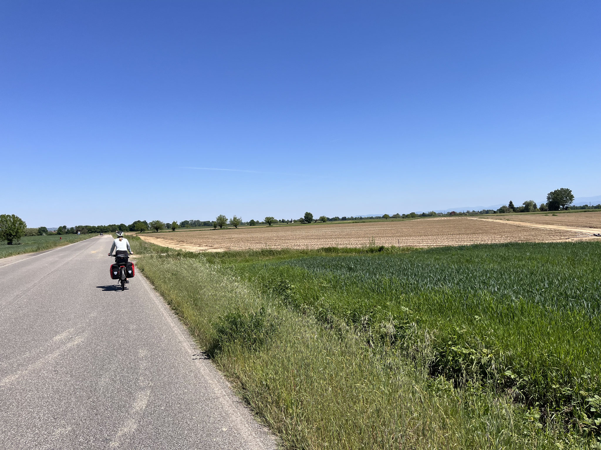 Wir radeln durch die unzähligen Landwirtschaftsflächen und spulen die Kilometer ab. Nichts fürs Auge! Schade!
