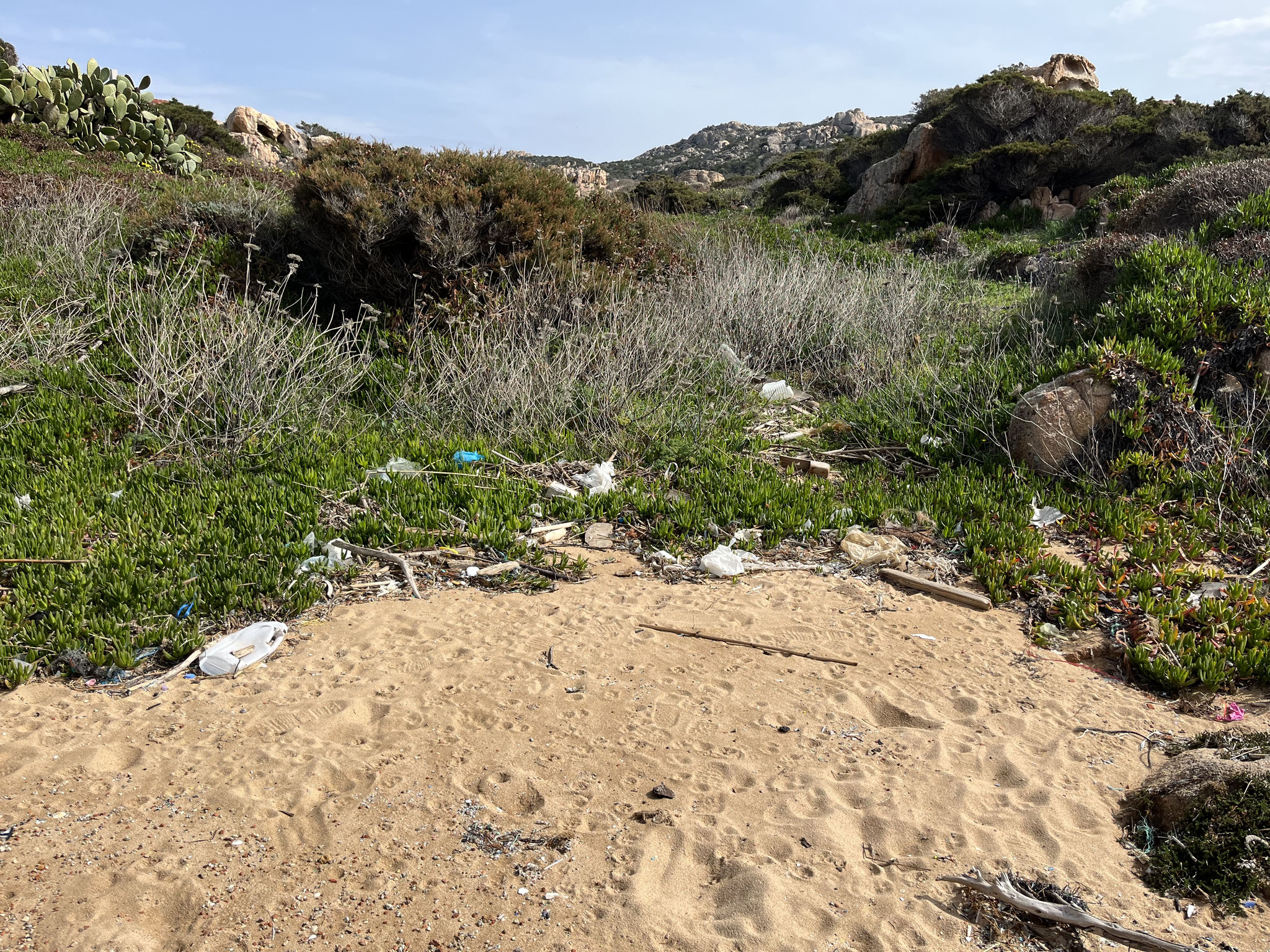 Trotzdem ist der Sand mit viel Mikroplastik und anderem Unrat verschmutzt!