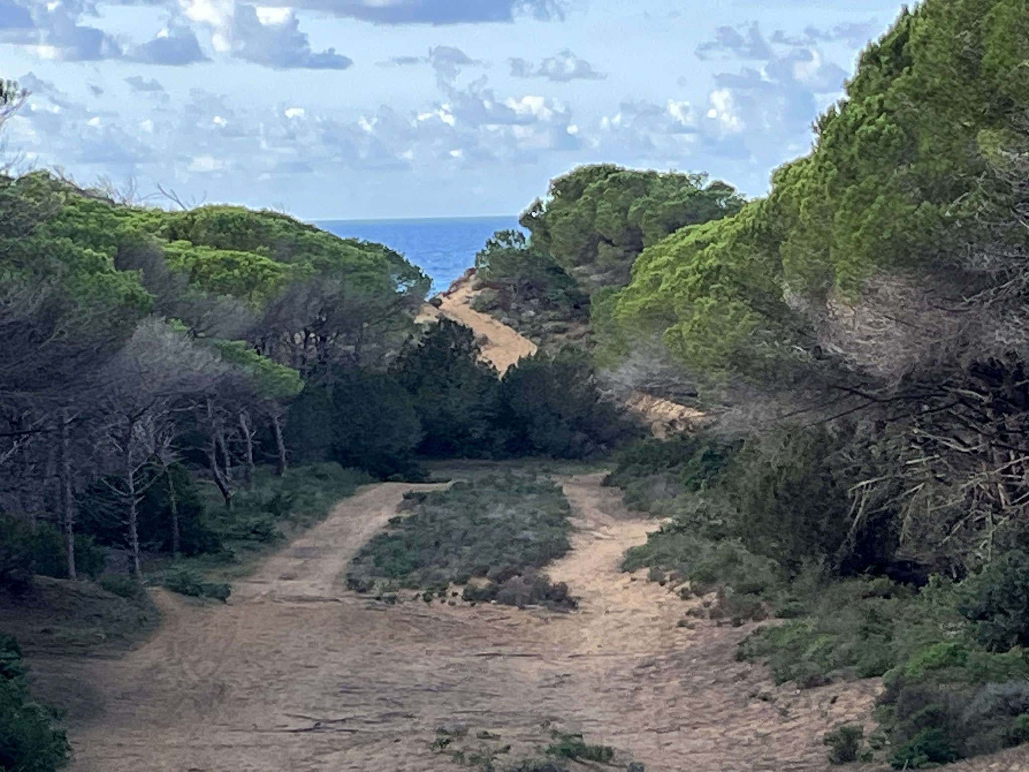 Der Weg durch den Sand ist zwar sehr schön, aber tief und beschwerlich.