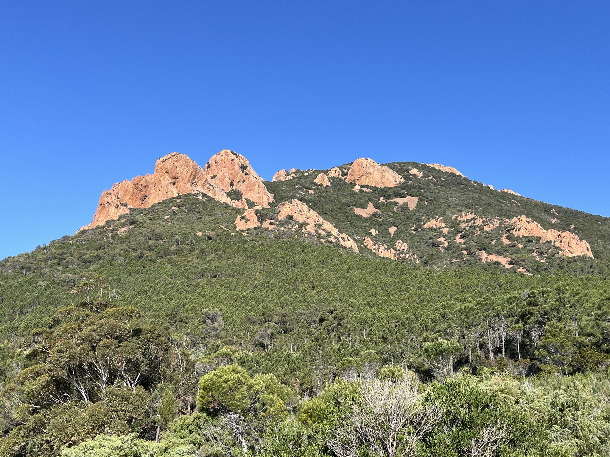 Wanderung auf den Pic du Cap Roux, 454m.