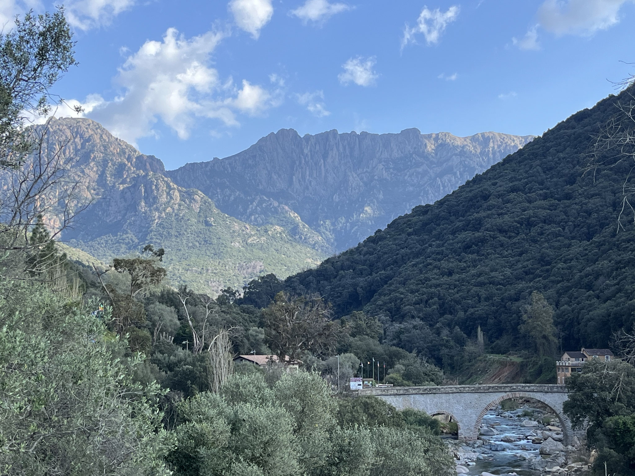 … in den Alpen zu sein!