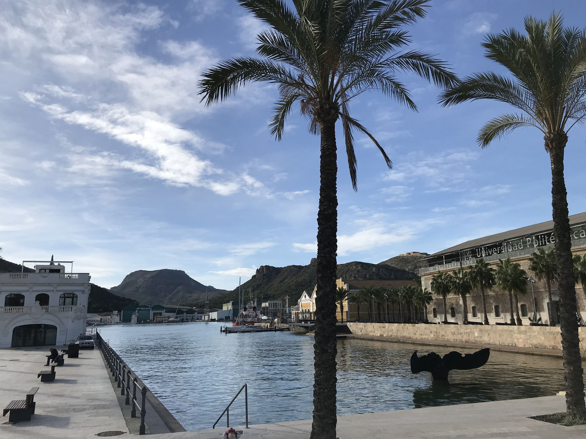 Ein sehr schönes Sujet für ein Foto ist der Hafen mit der Walfluke.