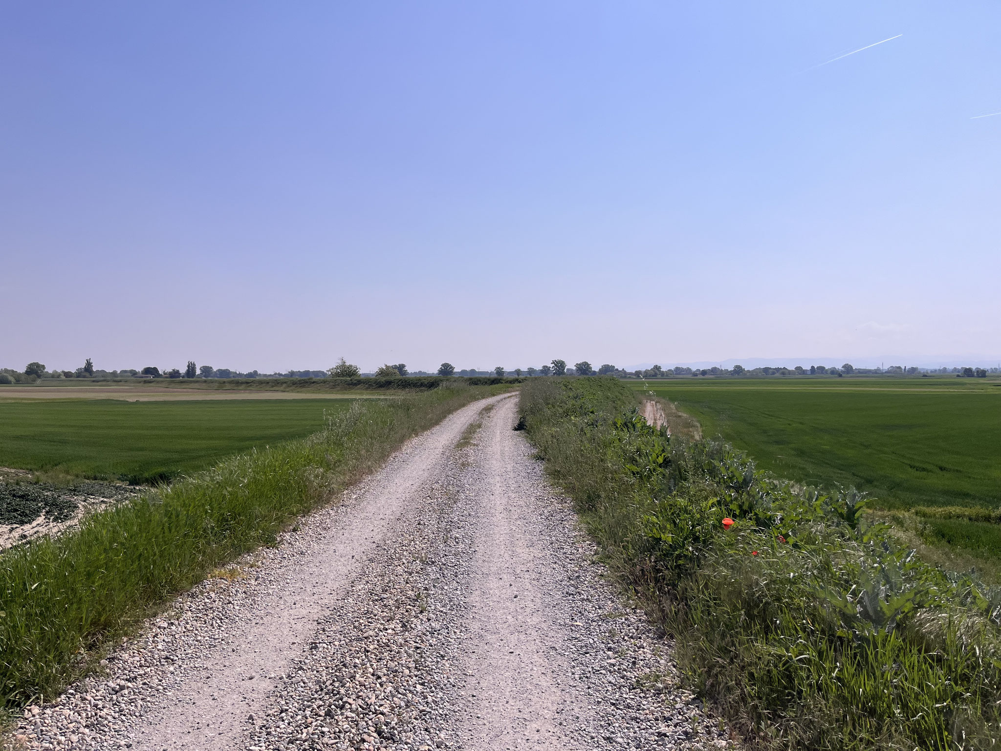 Wir erreichen das Umland des Flusses Po und radeln auf einem Damm.