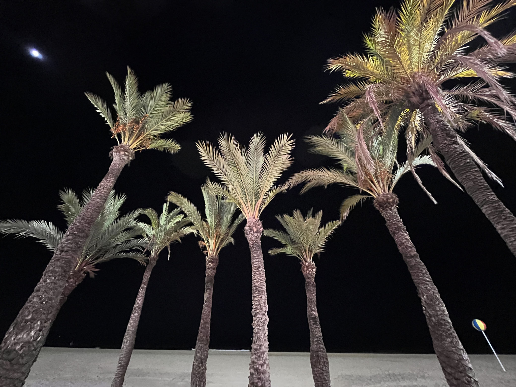Es ist dunkel und es wird schnell kühl. Am Strand herrscht mit der Beleuchtung und den Palmen ein herrliches Bild. 