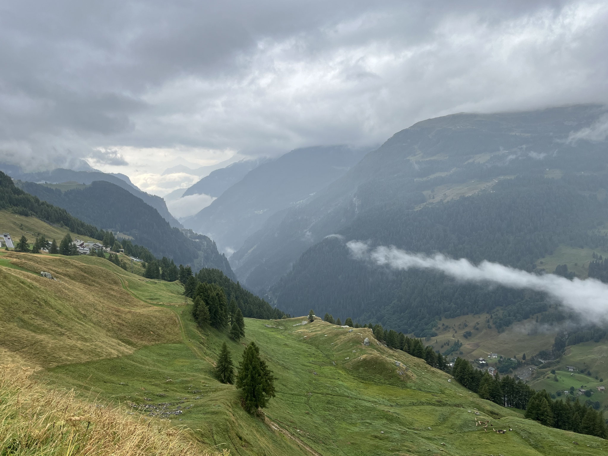 Nach einer kurzen Pause gehts im immer stärker werdenden Regen Richtung Passhöhe und Grenze. Nach einem kurzen Fotohalt (Foto siehe oben) fahren wir durch.