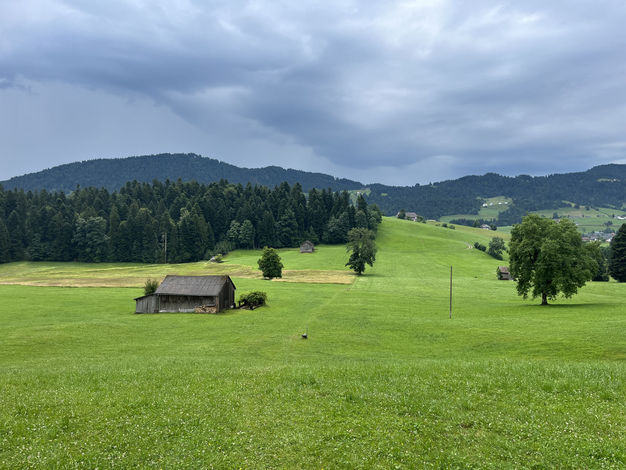 Danach gehts über "saftige", grüne Wiesen hoch zum "Schneidekopf, 971m".
