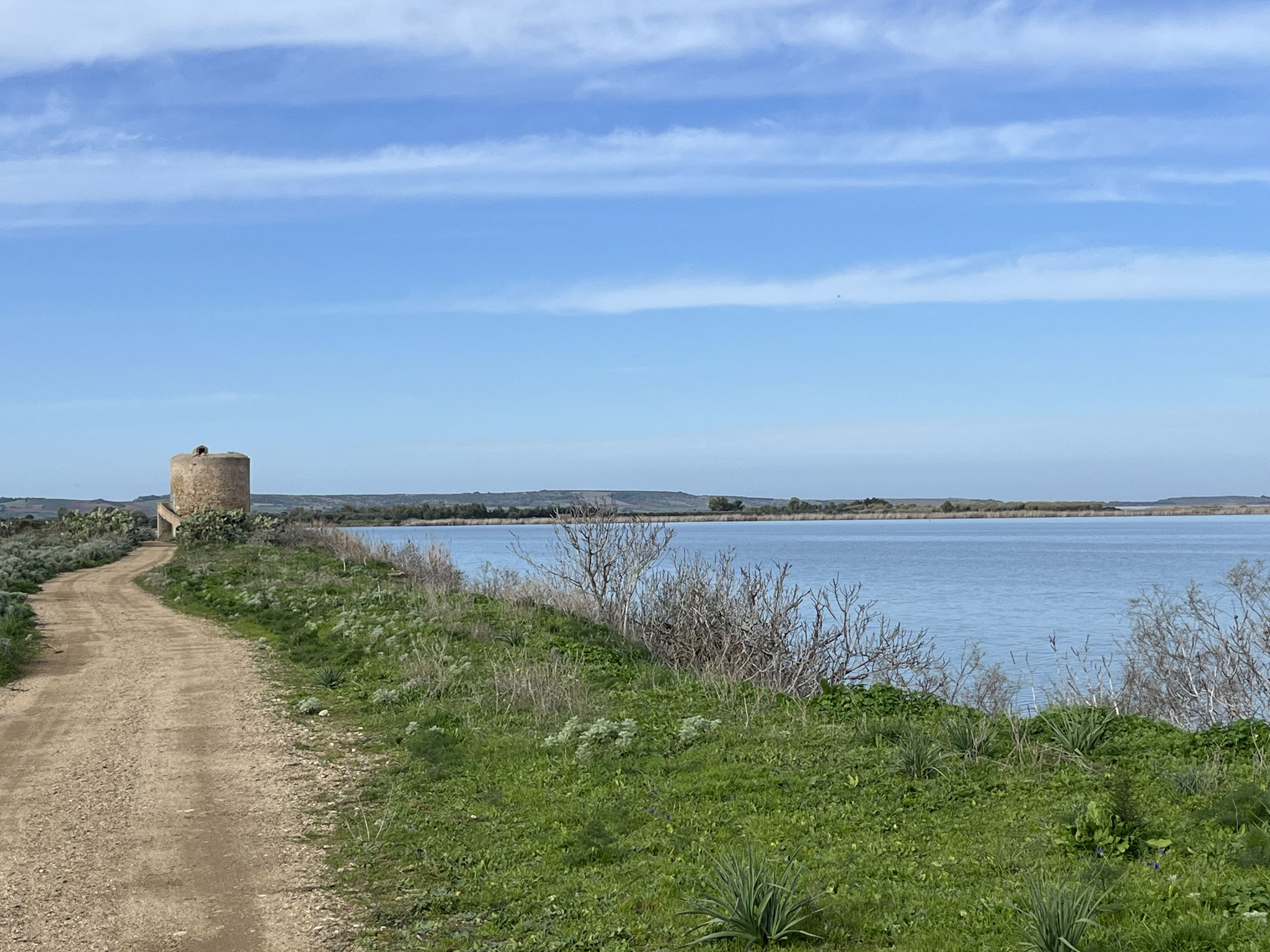 Auf dem „Teich von Cabras“ halten wir Ausschau nach Flamingos, die wir jedoch nur aus weiter Ferne sehen.