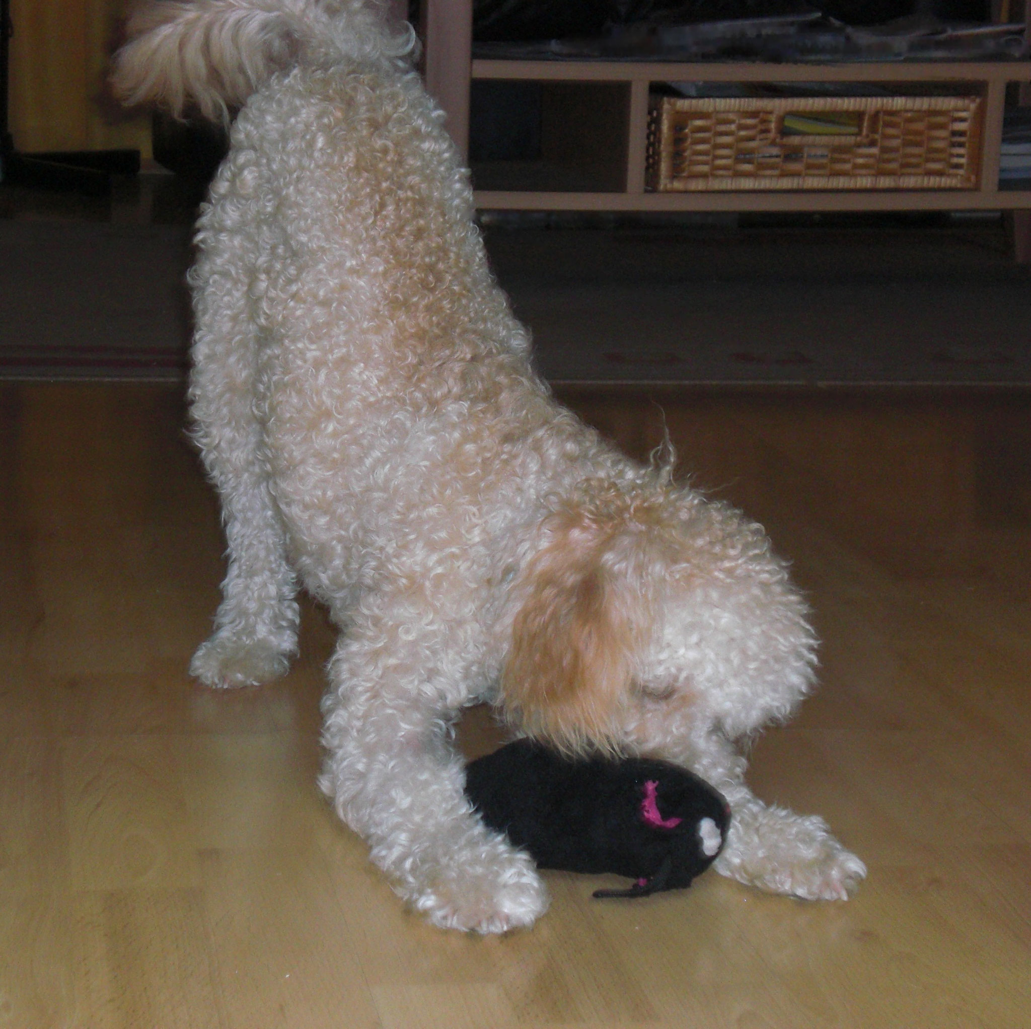 2010/ 2011