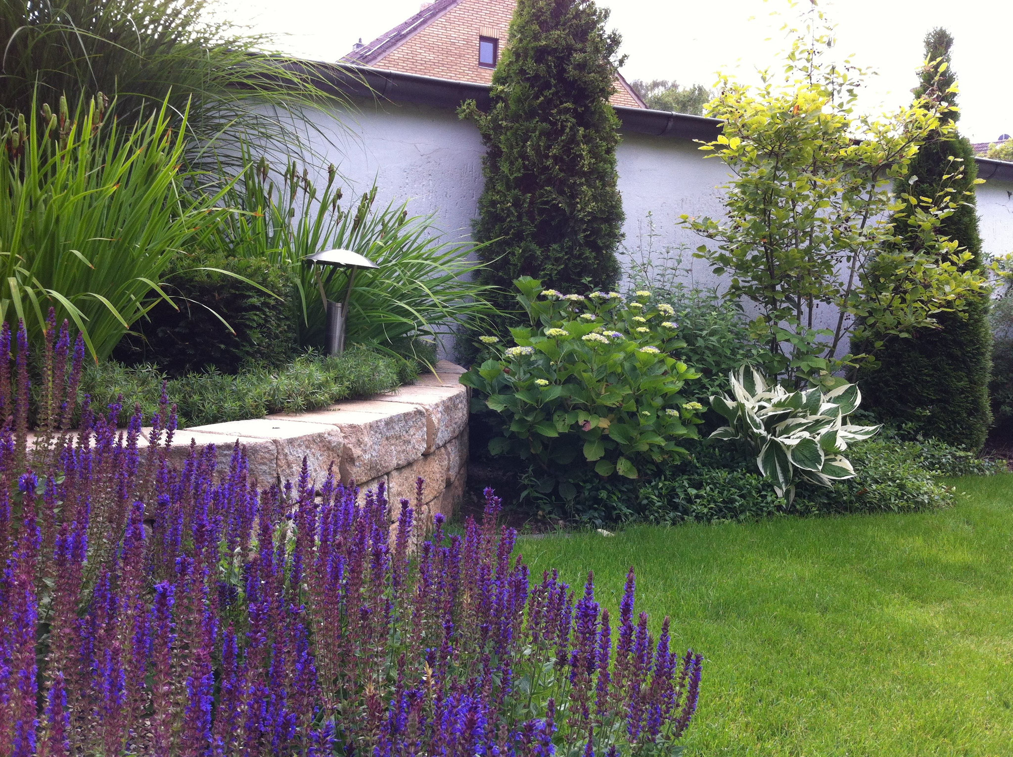 Dekorative Gartenpflanzen und -kräuter - gartentraeume-boesches Webseite!