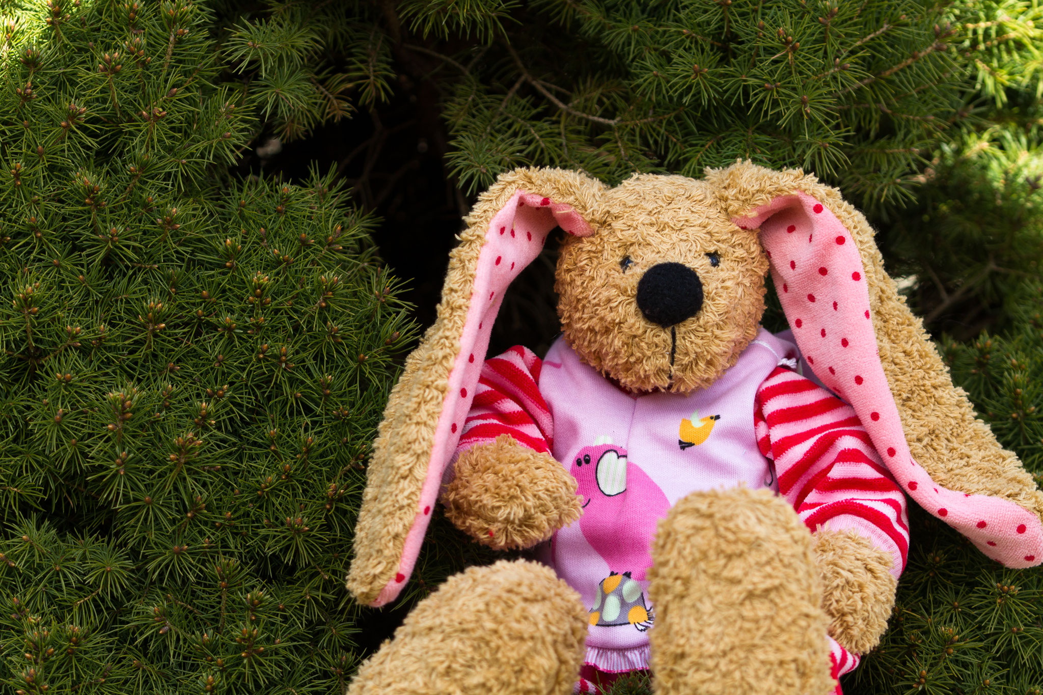 Spielgefährte Teddybär in blauem Outfit – Andrea Rath