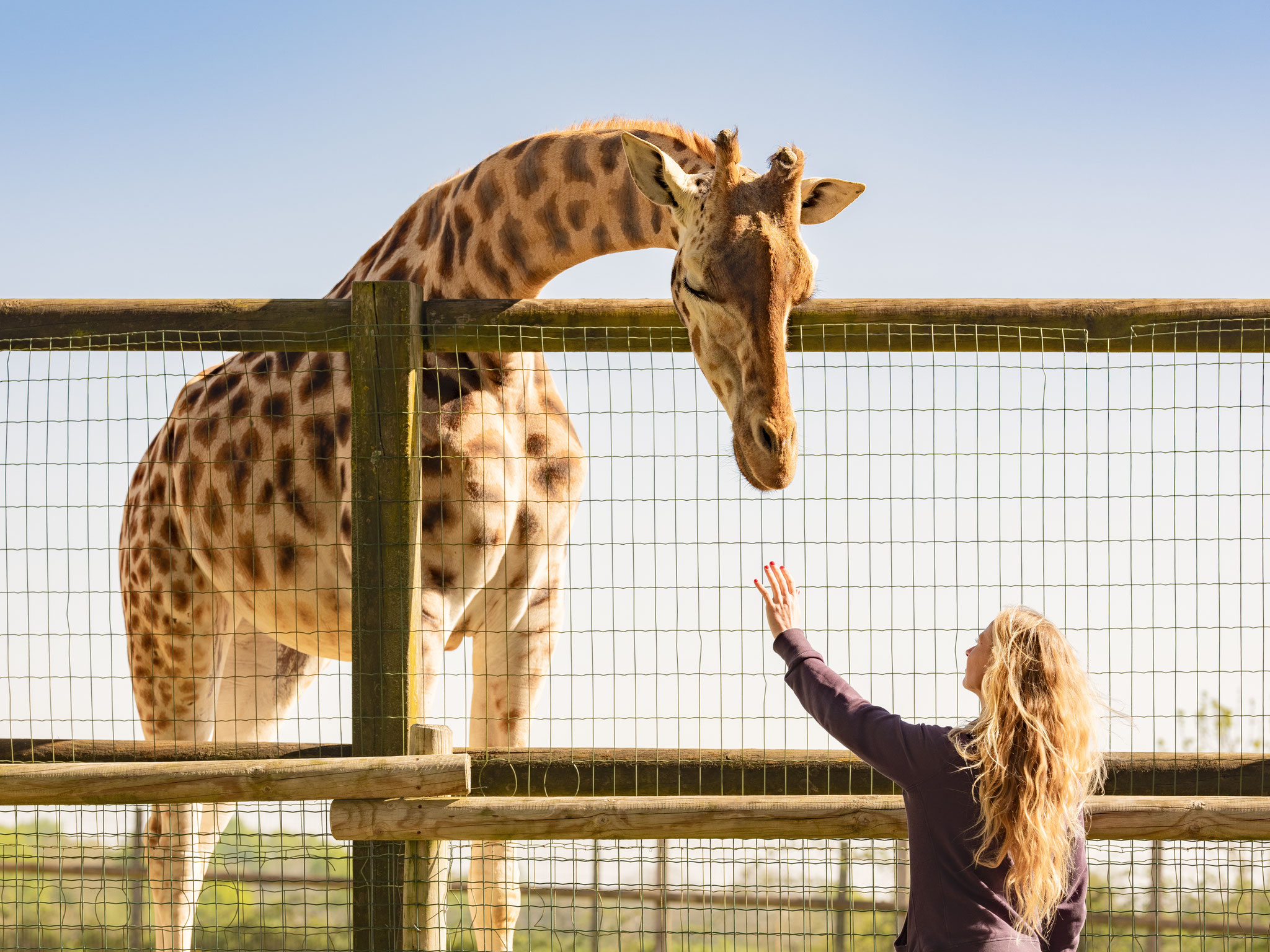 Natur'zoo de Mervent