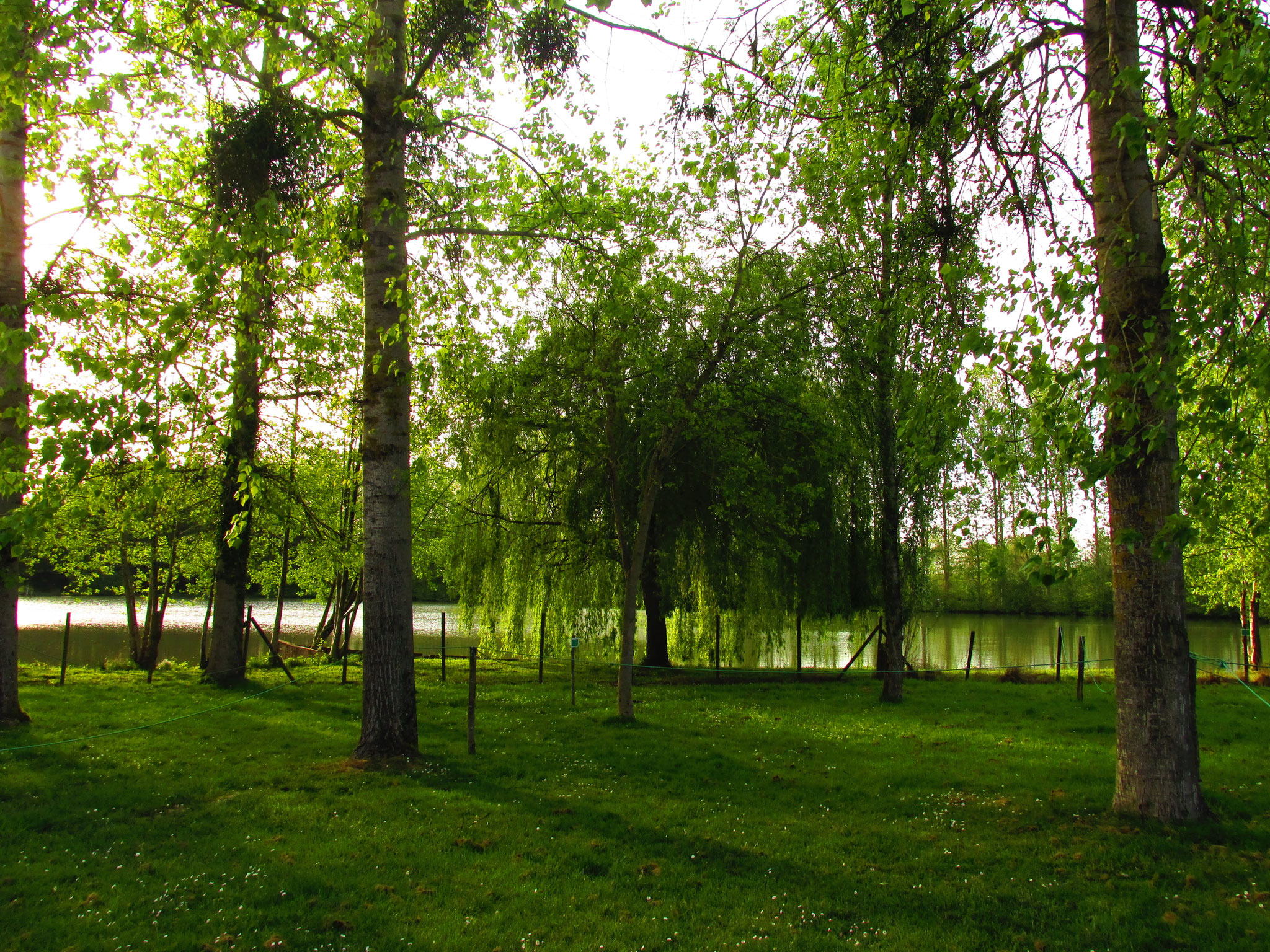 Emplacements de camping ombragé