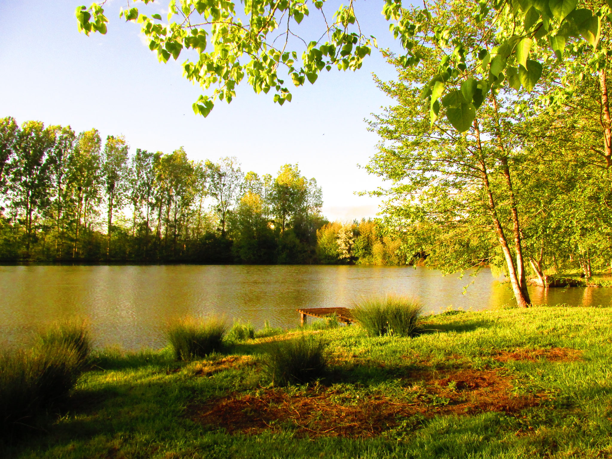 Ponton de l'etang