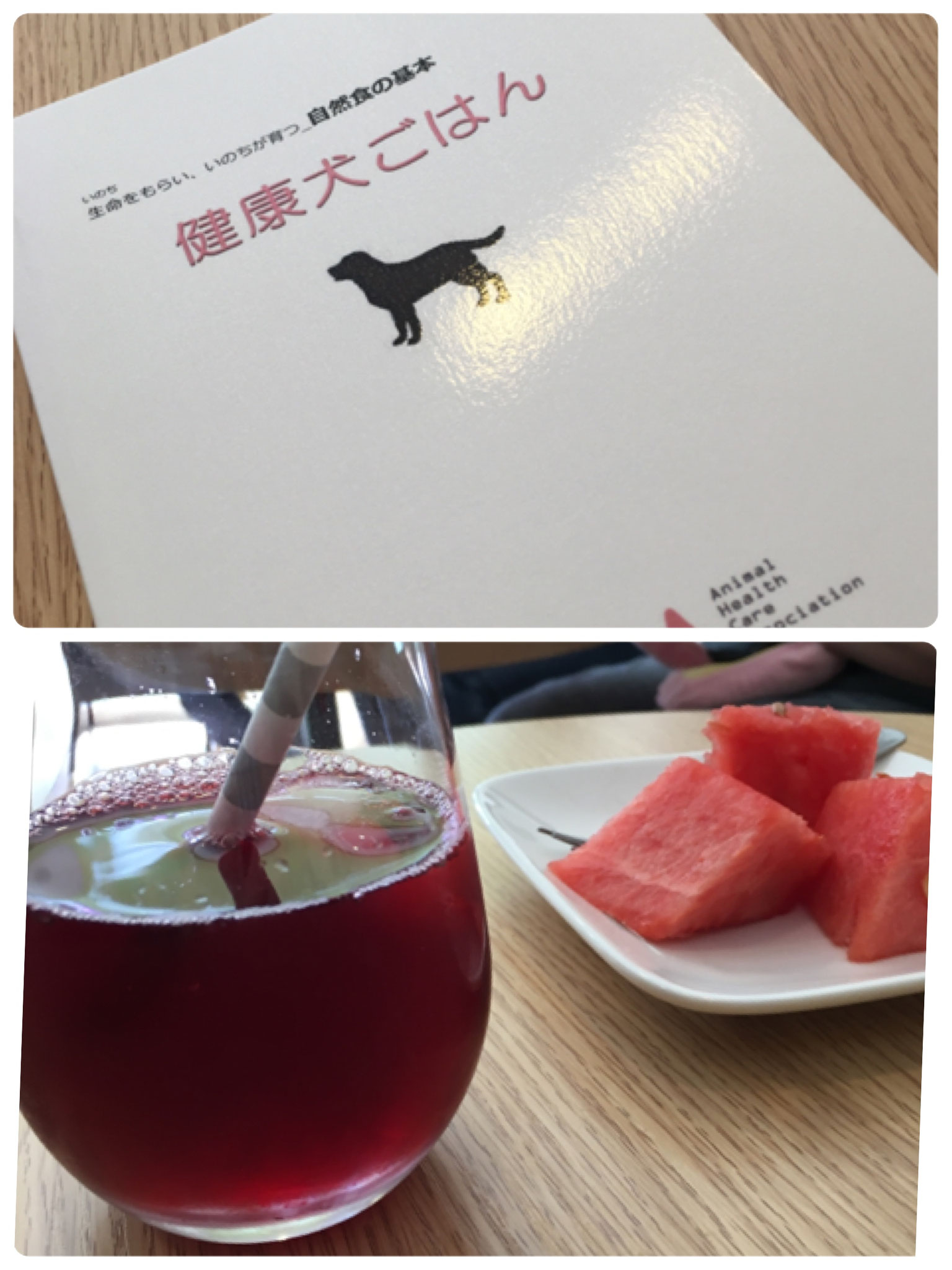 テキスト。ローズヒップティーとスイカで一休み。