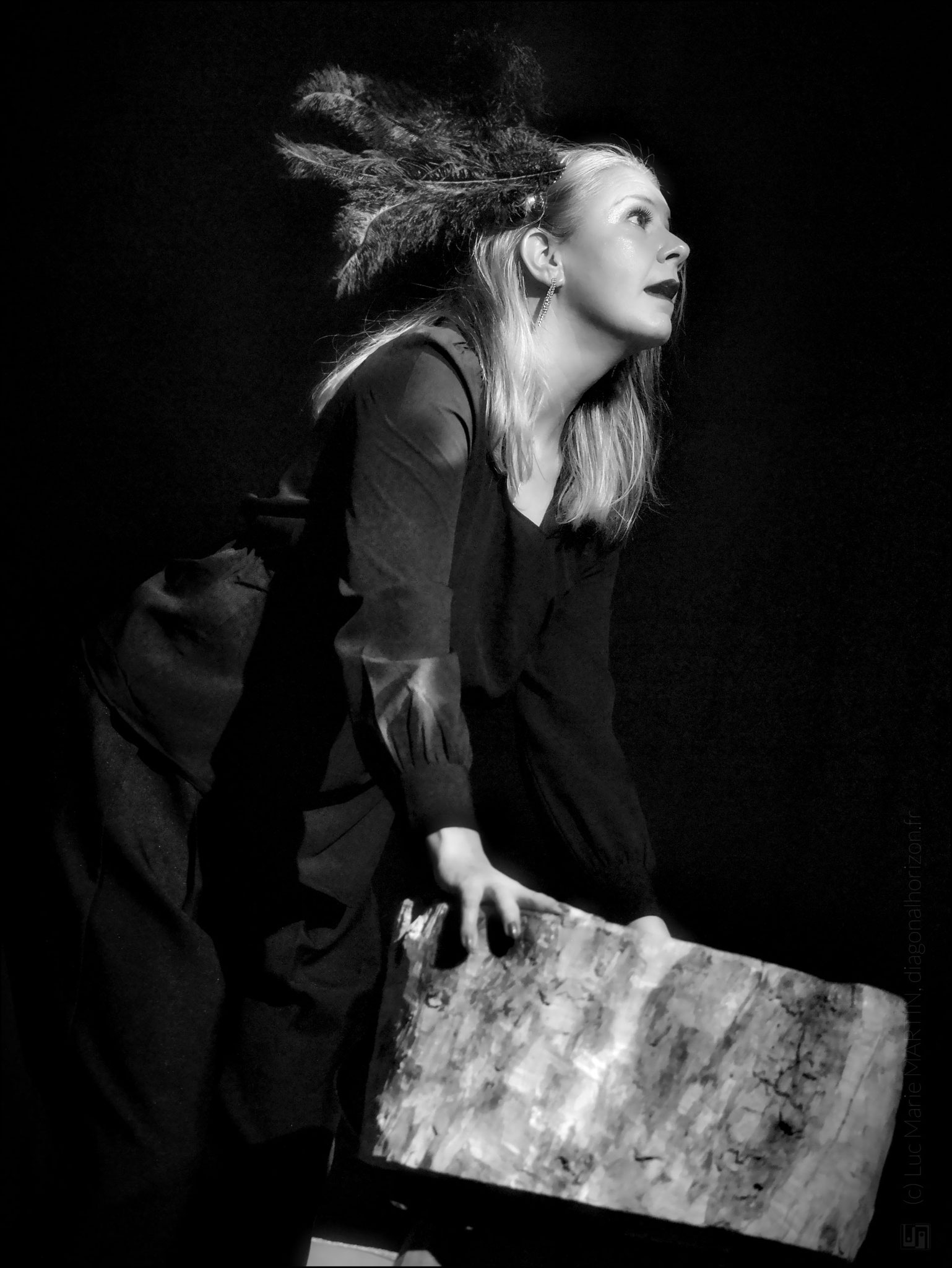 ©Luc Marie MARTIN diagonalhorizon.fr 