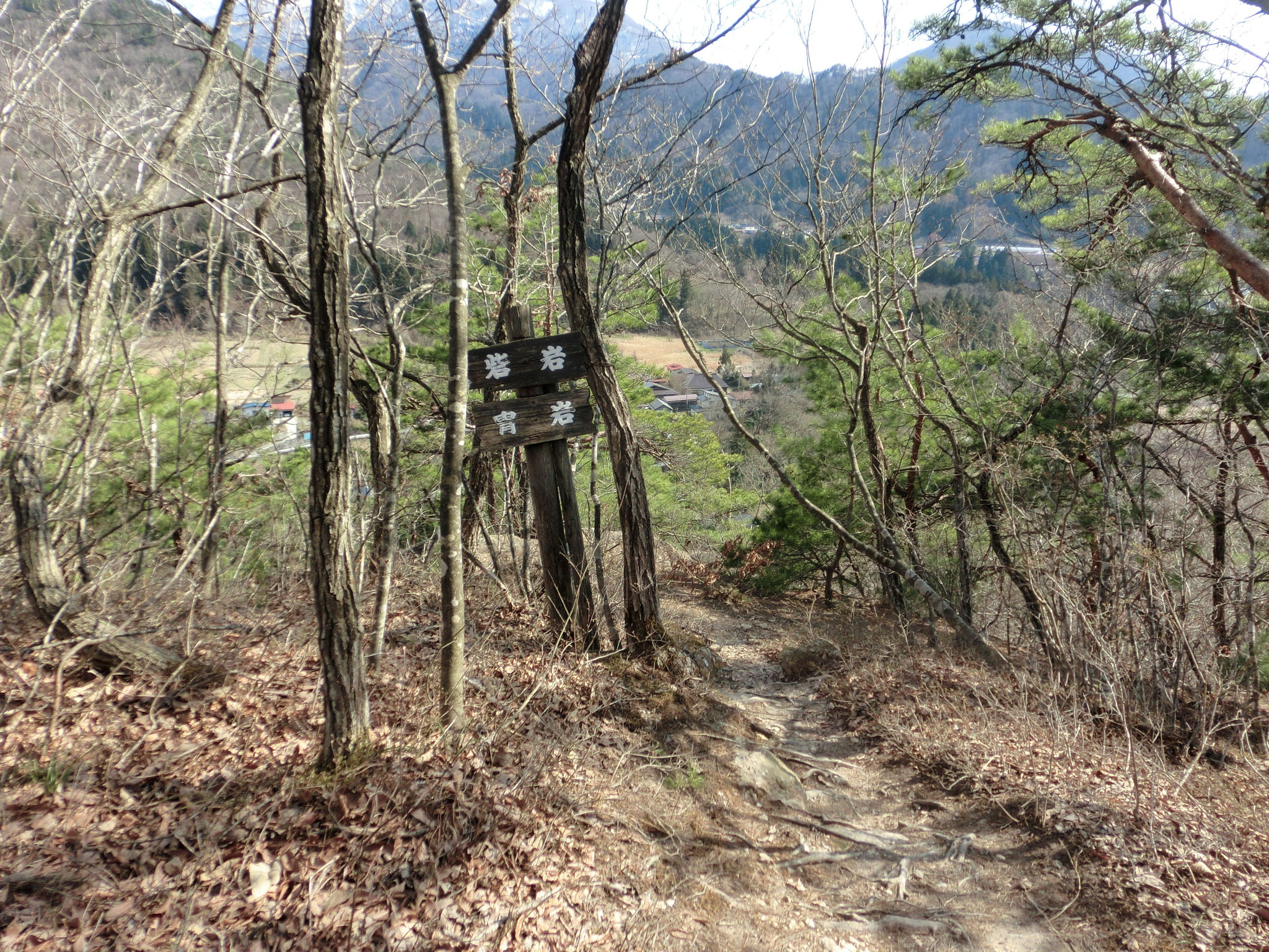 砦岩・甲岩