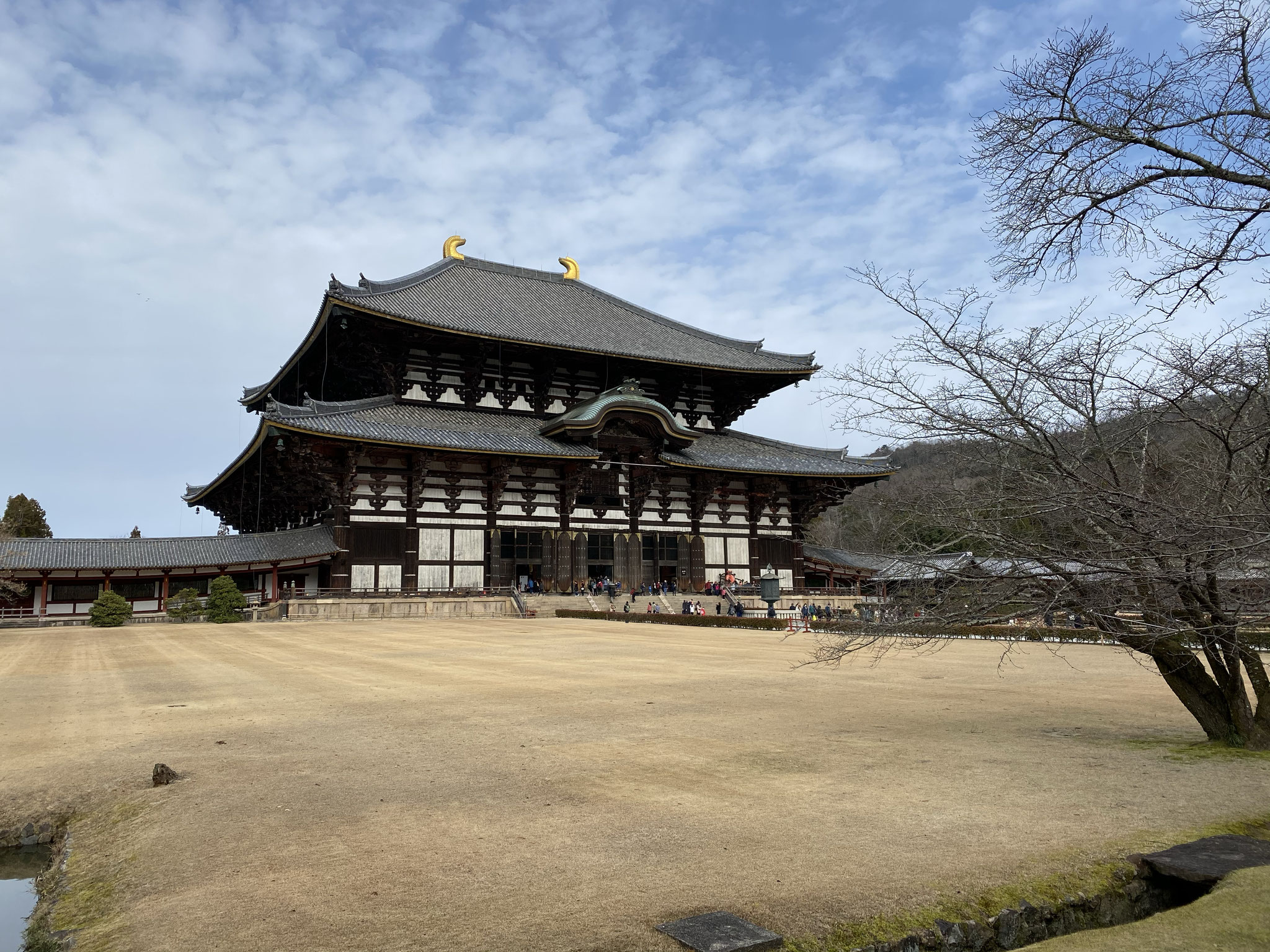 壮大な大仏殿