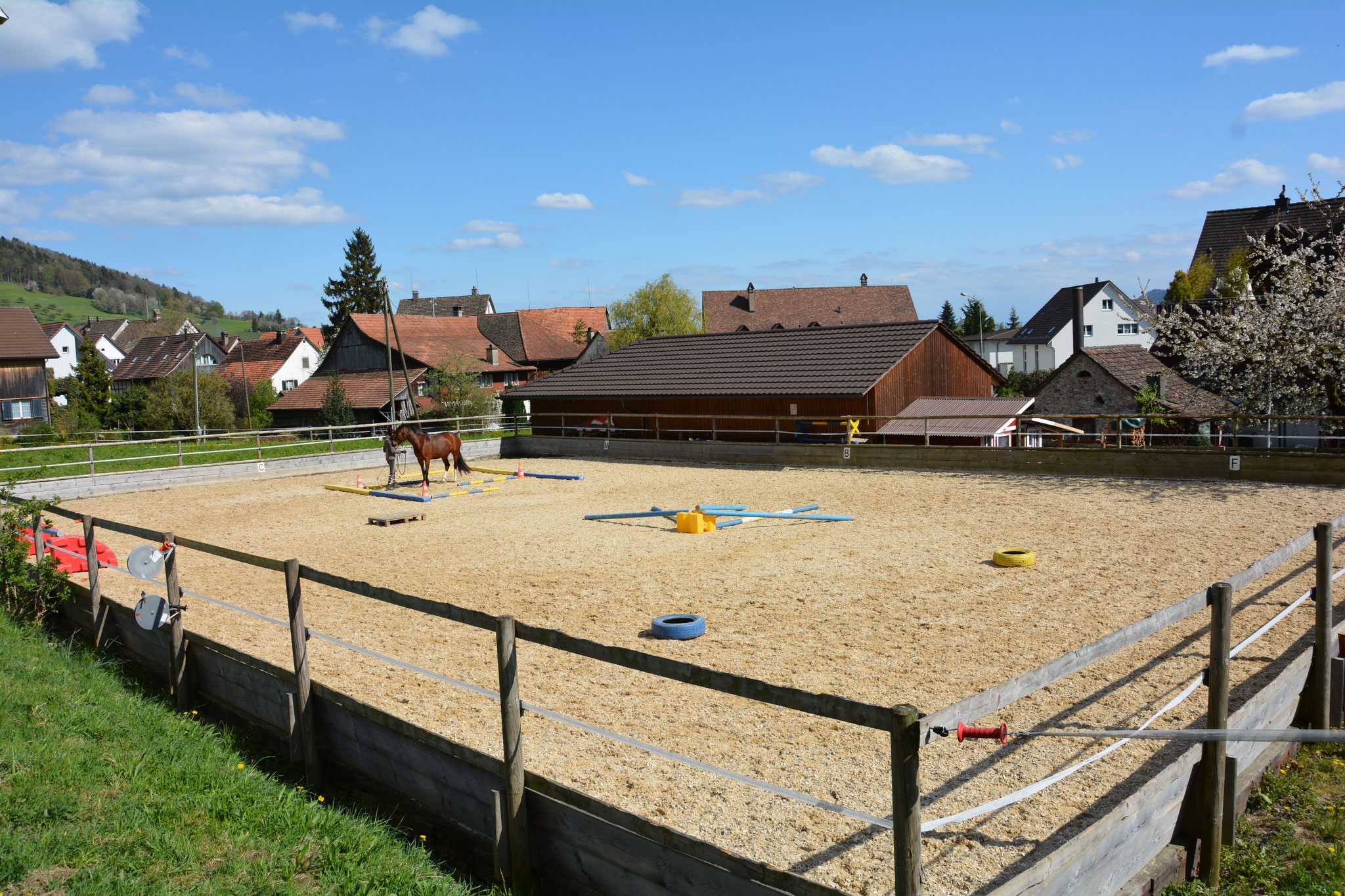Reitplatz Haug Haug Landwirtschaft Pferdepension Rebbau