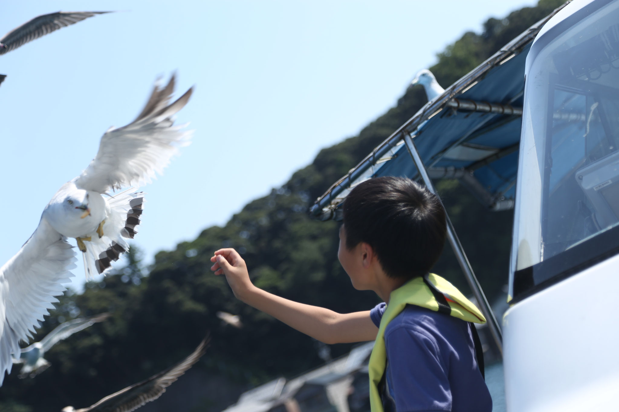 ©米原大介