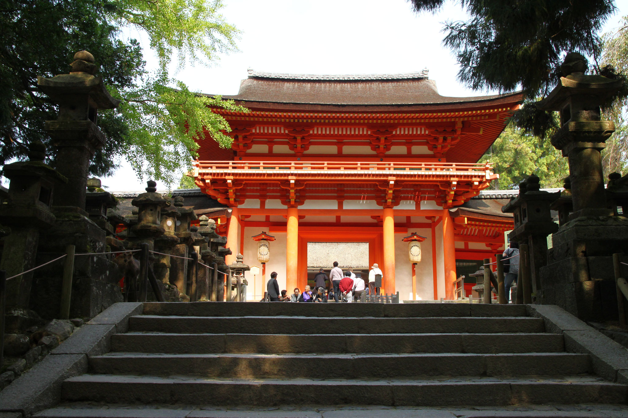 春日大社・東大寺・興福寺　日本文化体験交流塾