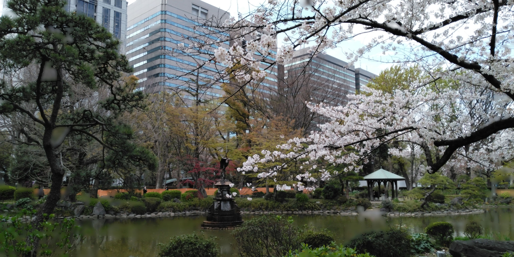 【日比谷公園雲形池】鶴の噴水と松と桜の向こうに霞が関庁舎。