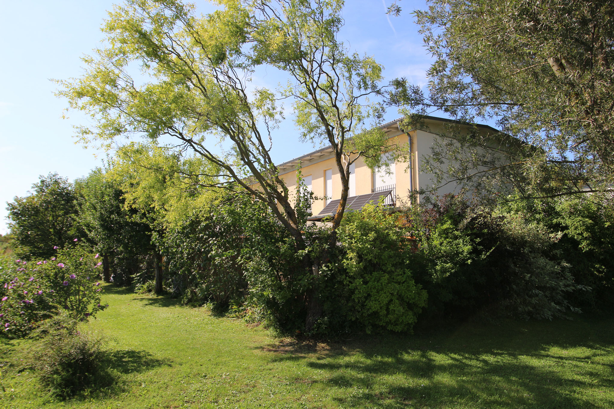 *verkauft* Sehr gut geschnittenes Reiheneckhaus in Ludwigsfeld - bezugsfrei!