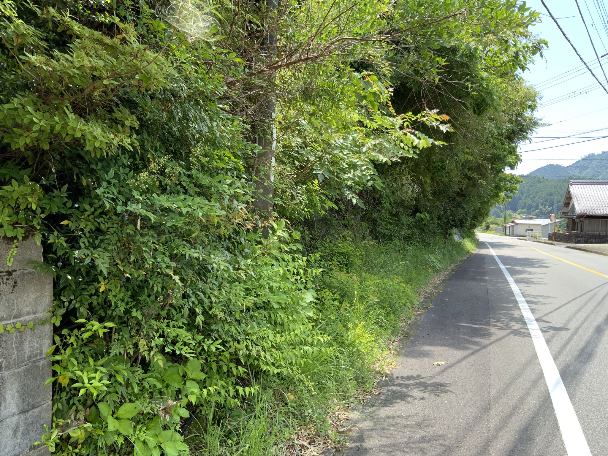 detached 熊野市飛鳥町