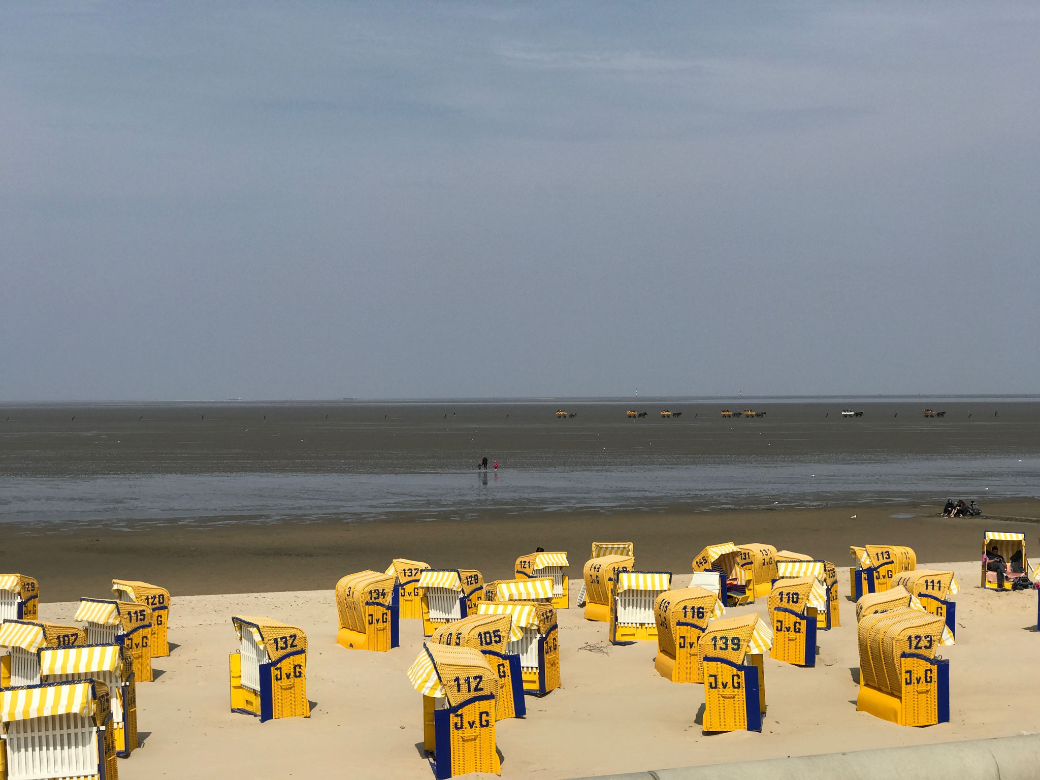 Das Wattenmeer