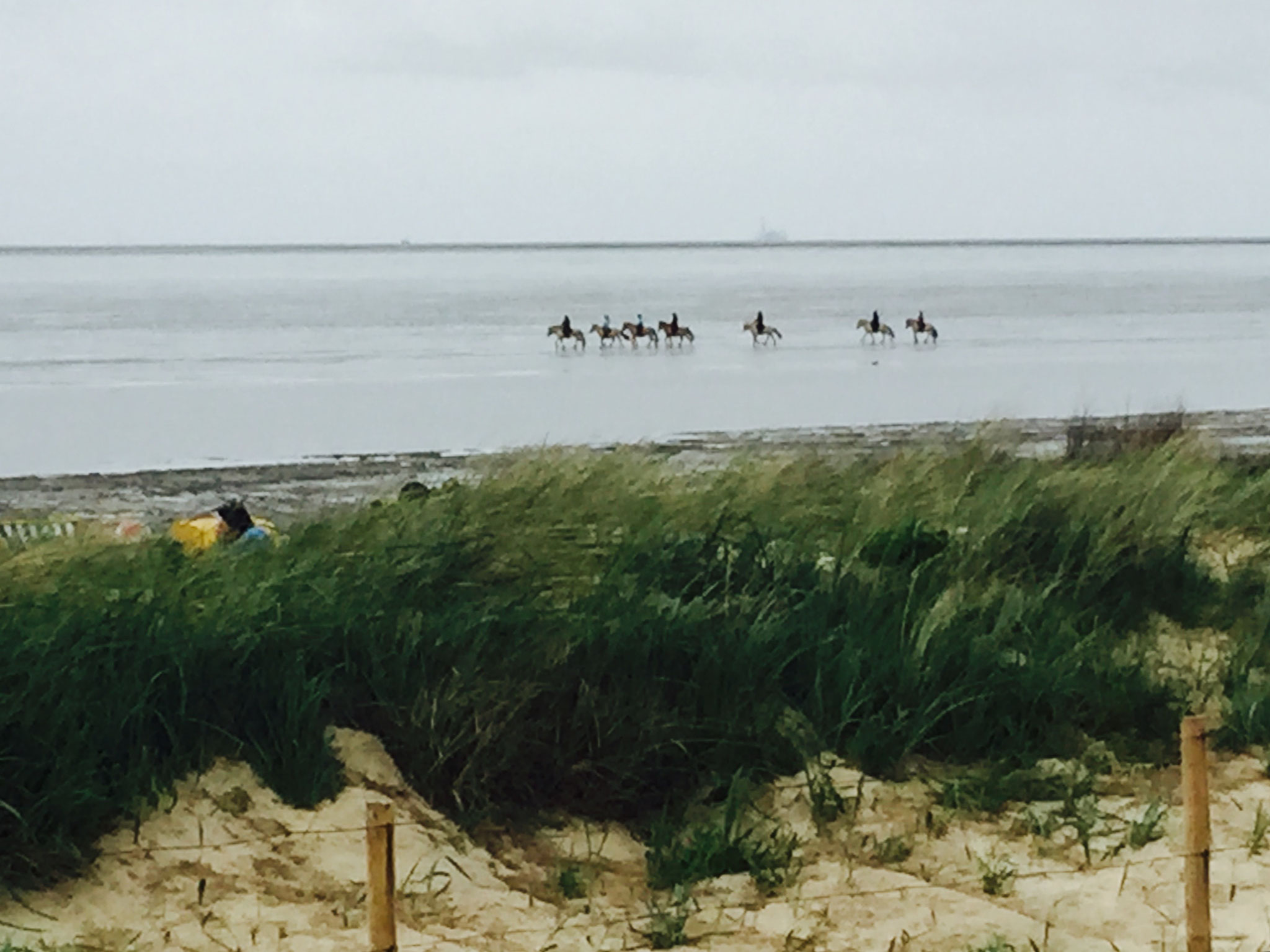 Reiten am Strand