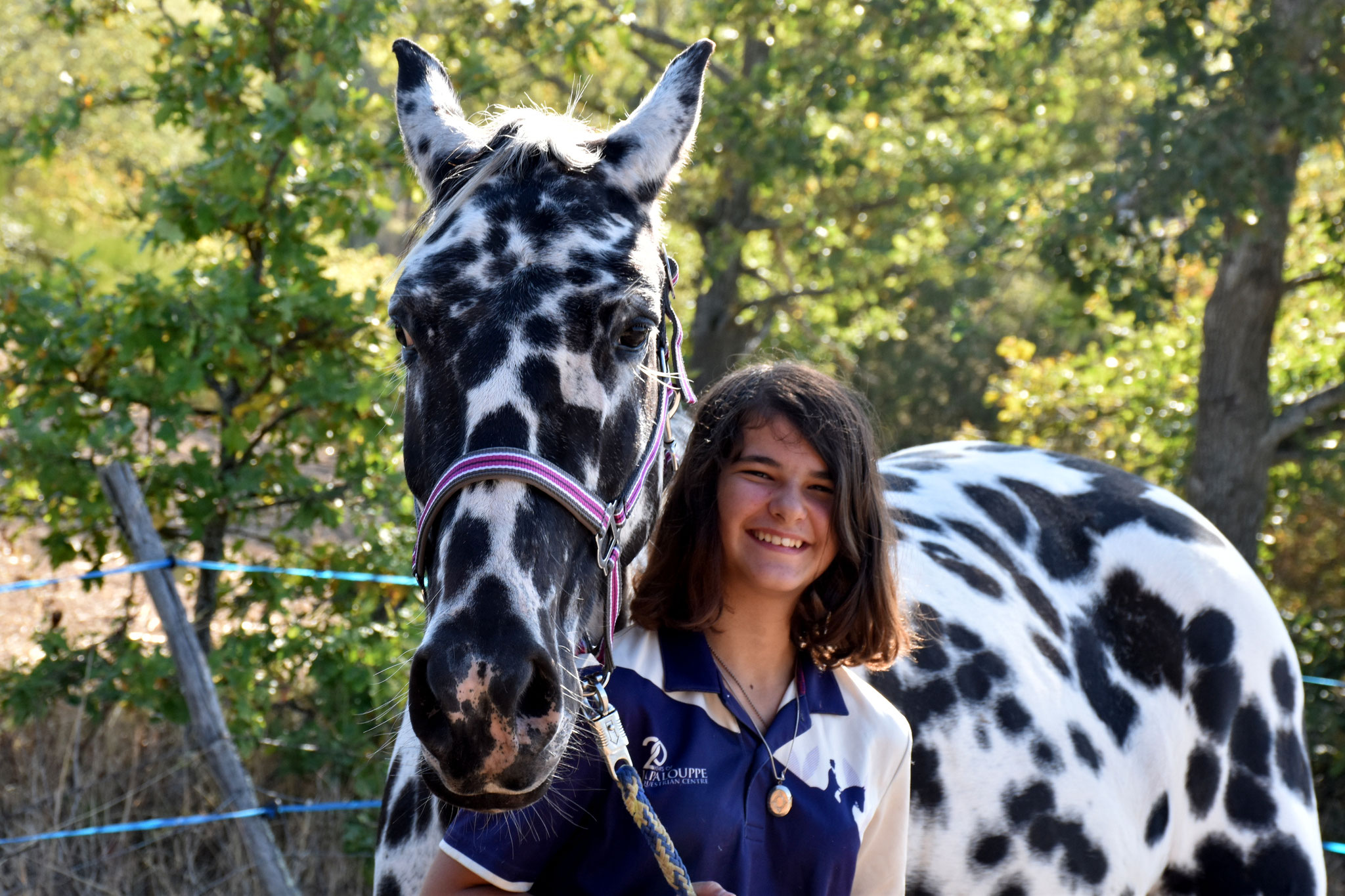 Dakota adopté par Sarah en Octobre 2018