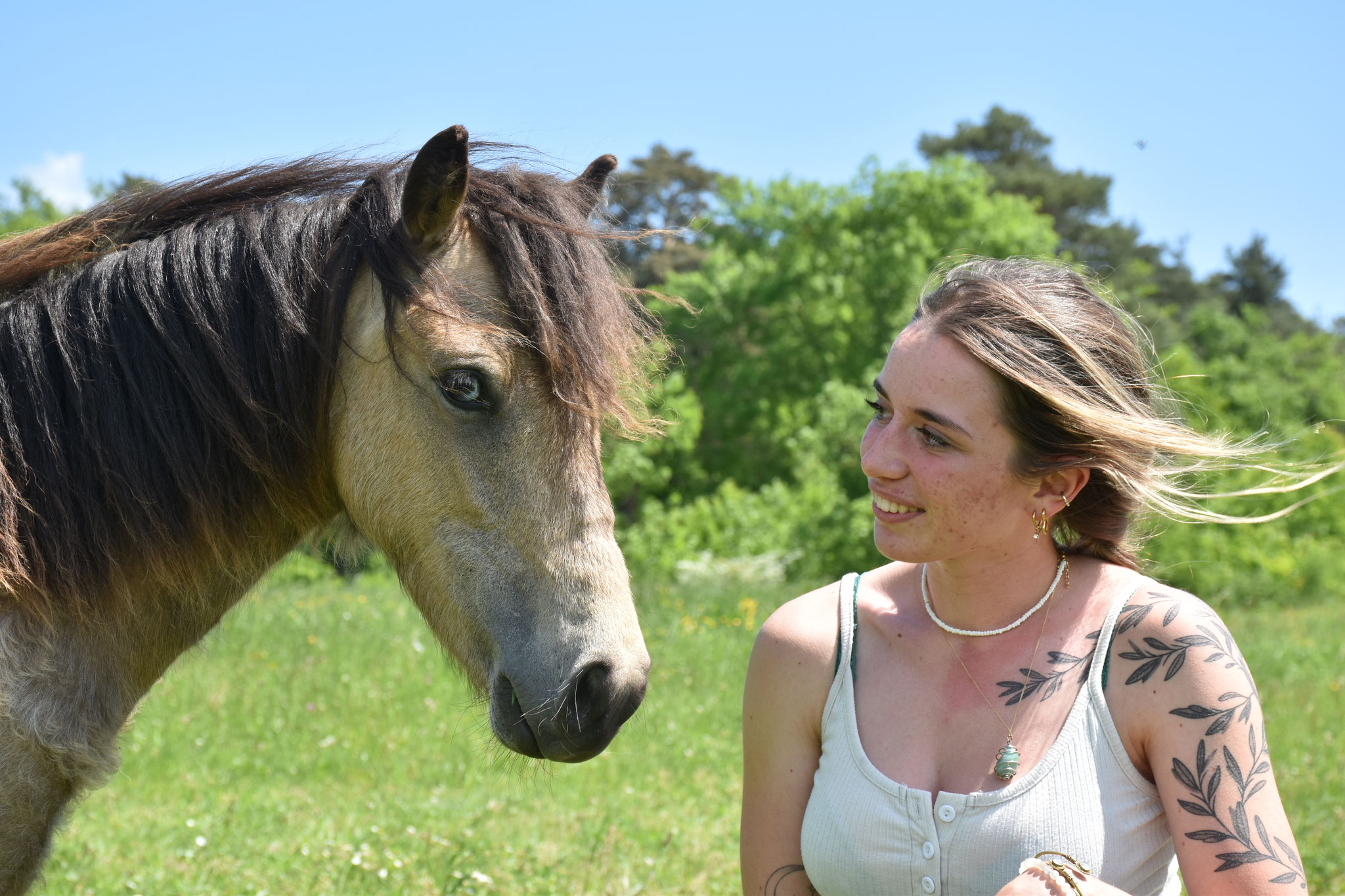 Odin de liberté adopté par Emmanuel en mai