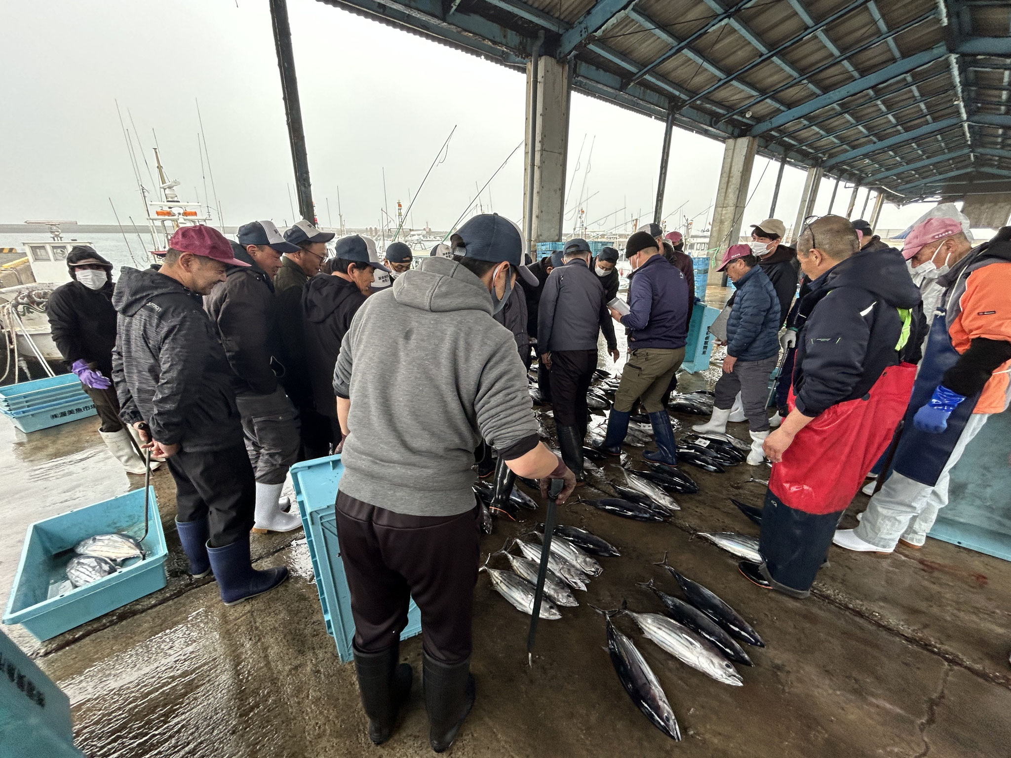 渥美魚市場