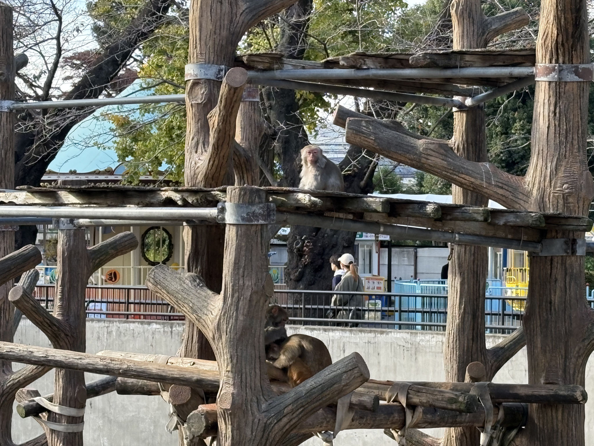 井の頭自然文化園