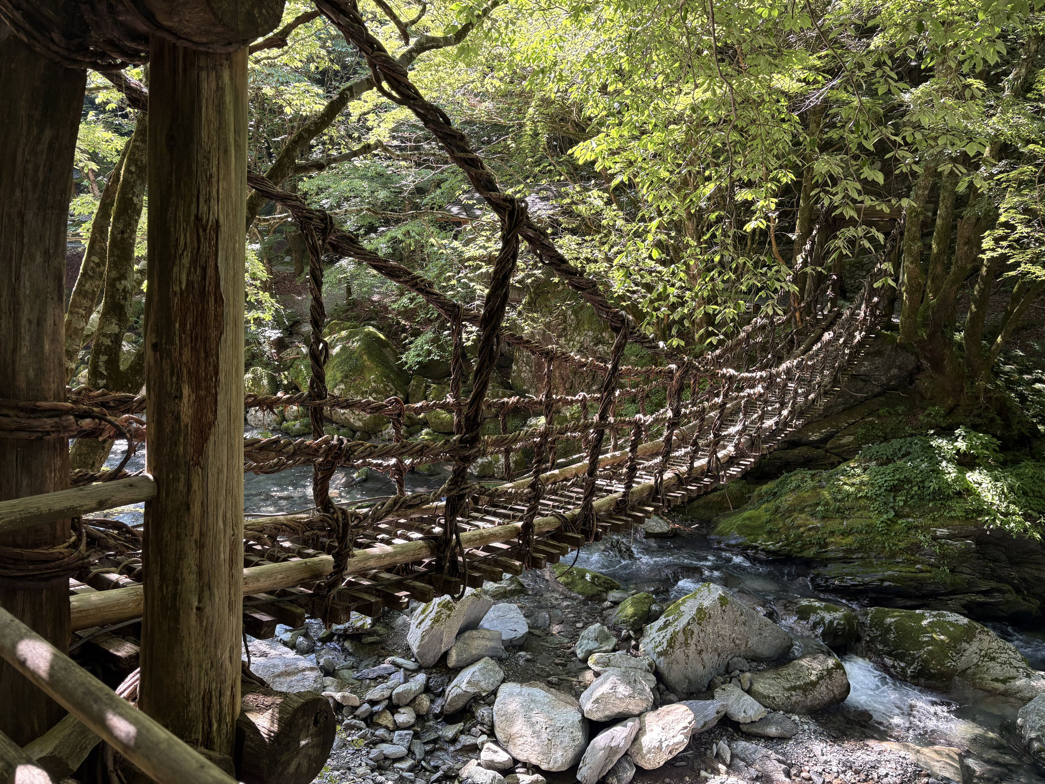 奥祖谷二重かずら橋