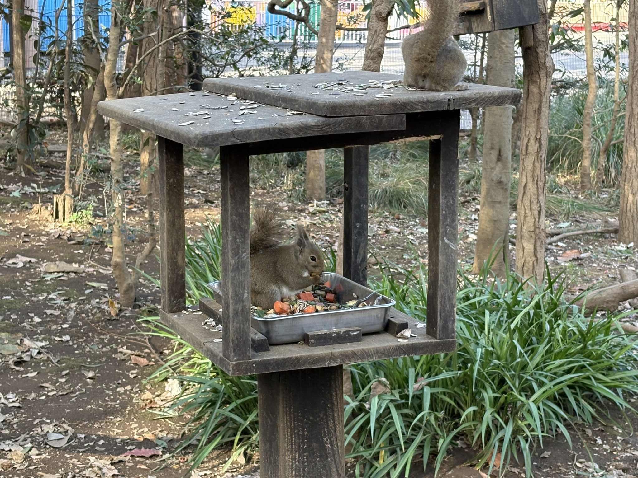井の頭自然文化園