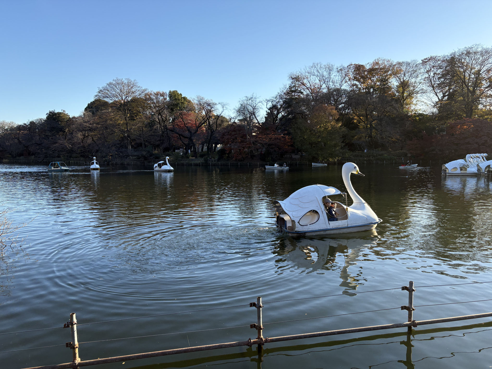 井の頭恩賜公園