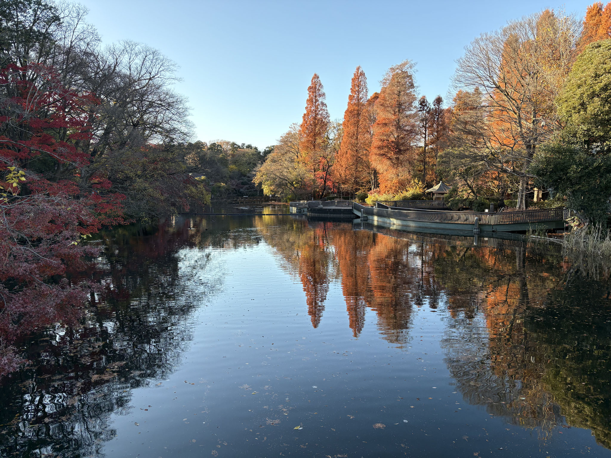 井の頭恩賜公園