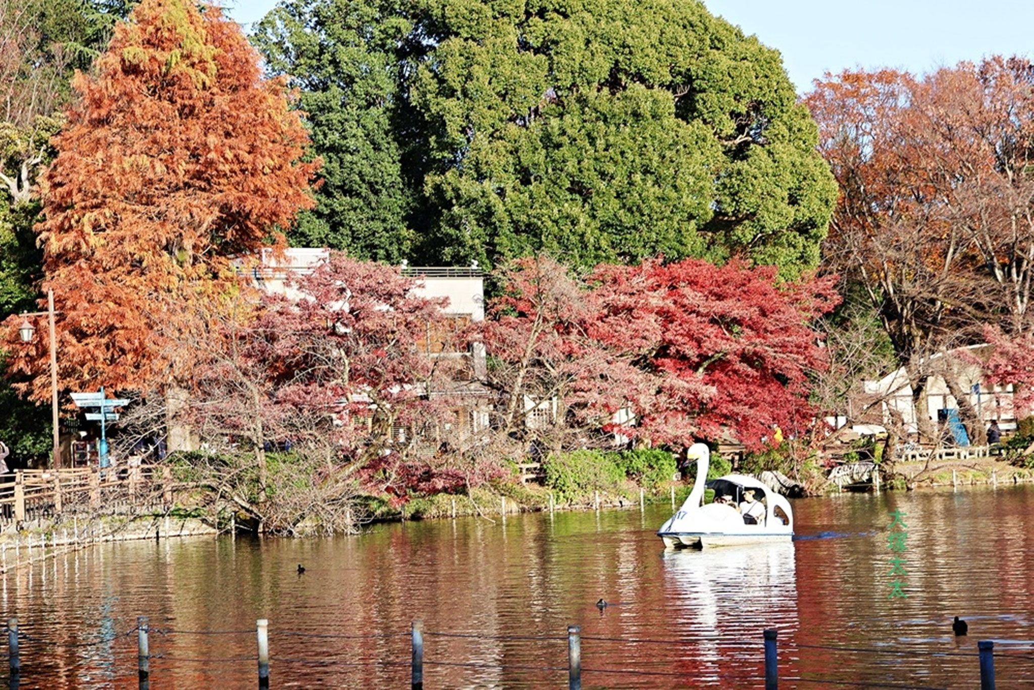 井の頭恩賜公園