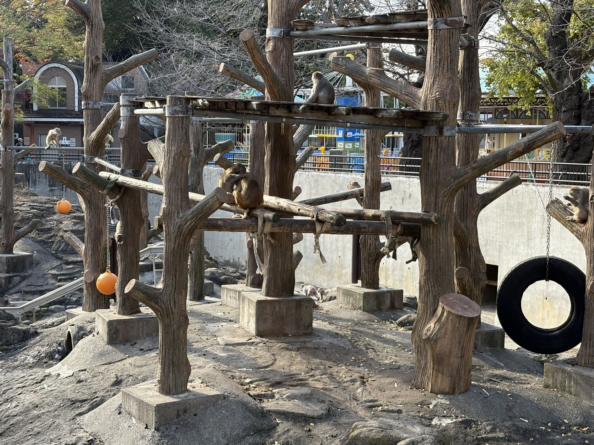 井の頭自然文化園