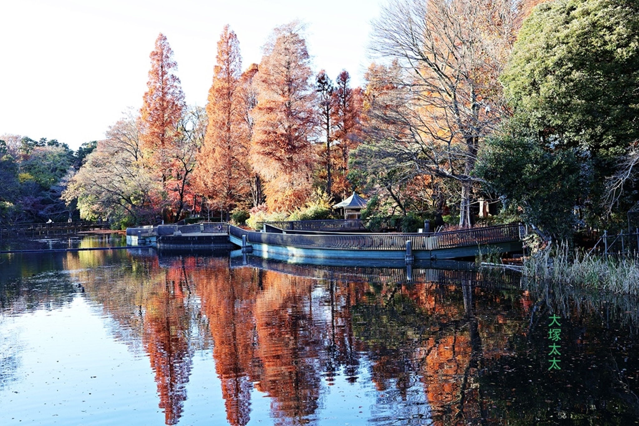 井の頭恩賜公園
