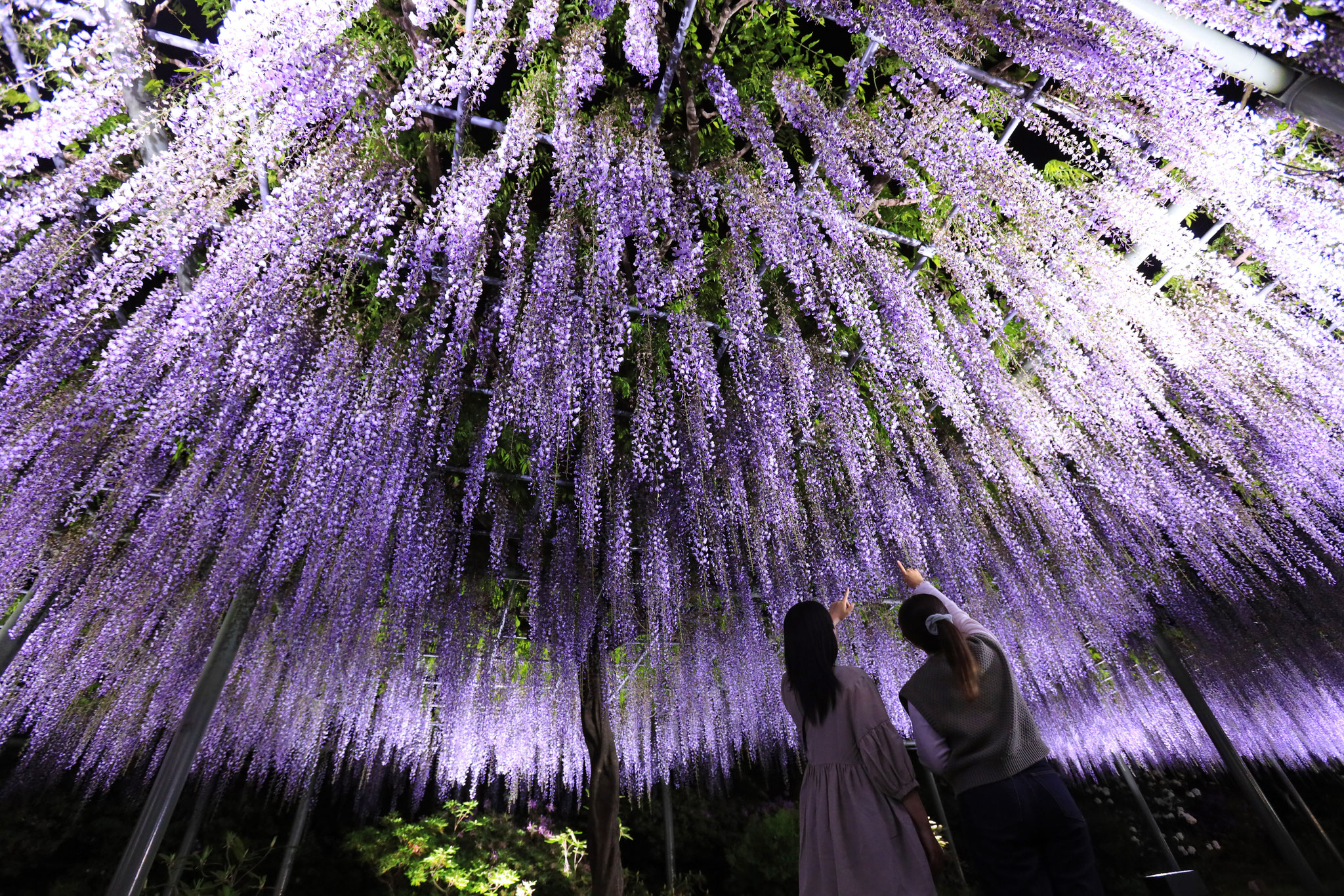 濱松Flower Park