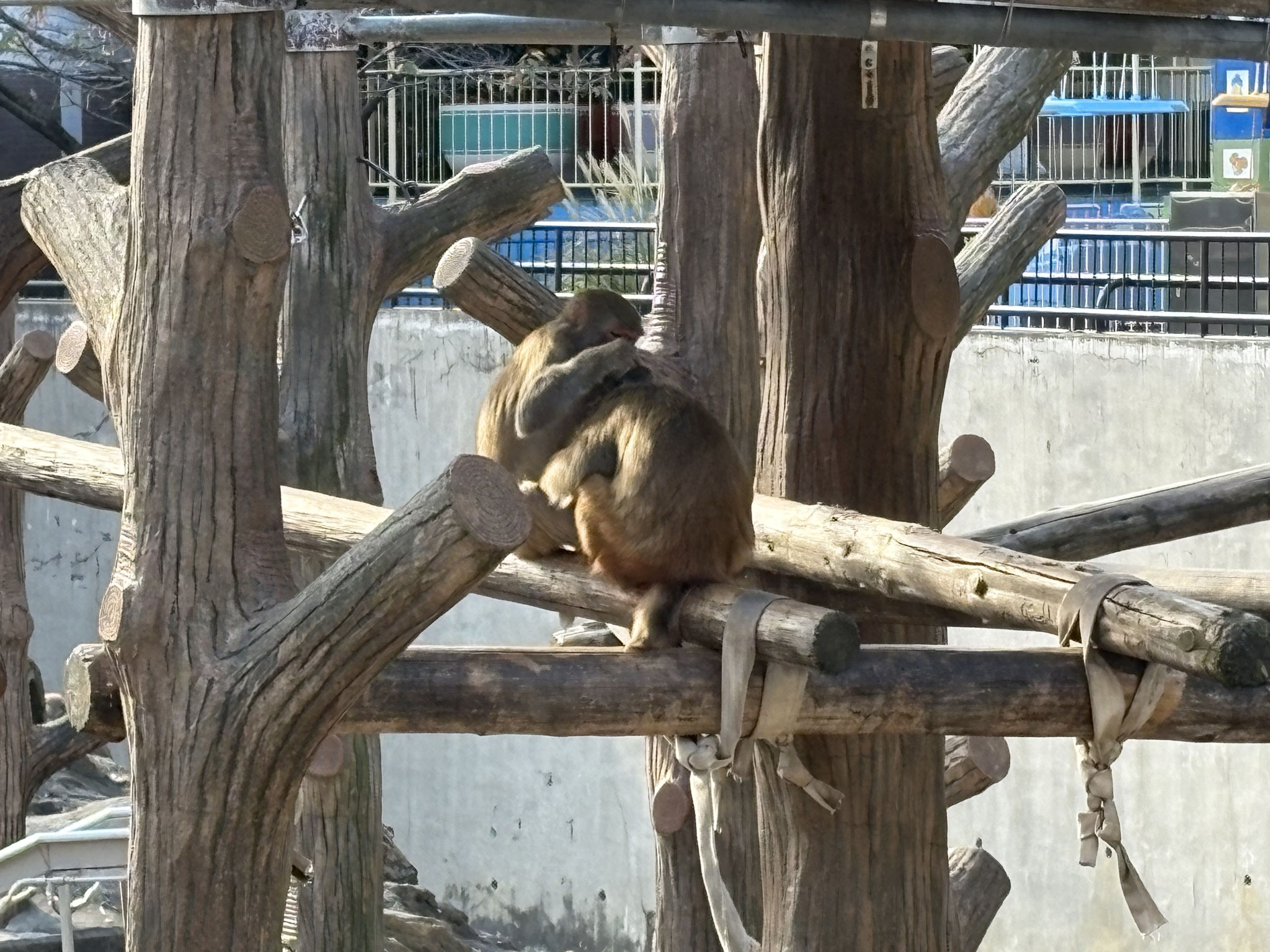 井の頭自然文化園