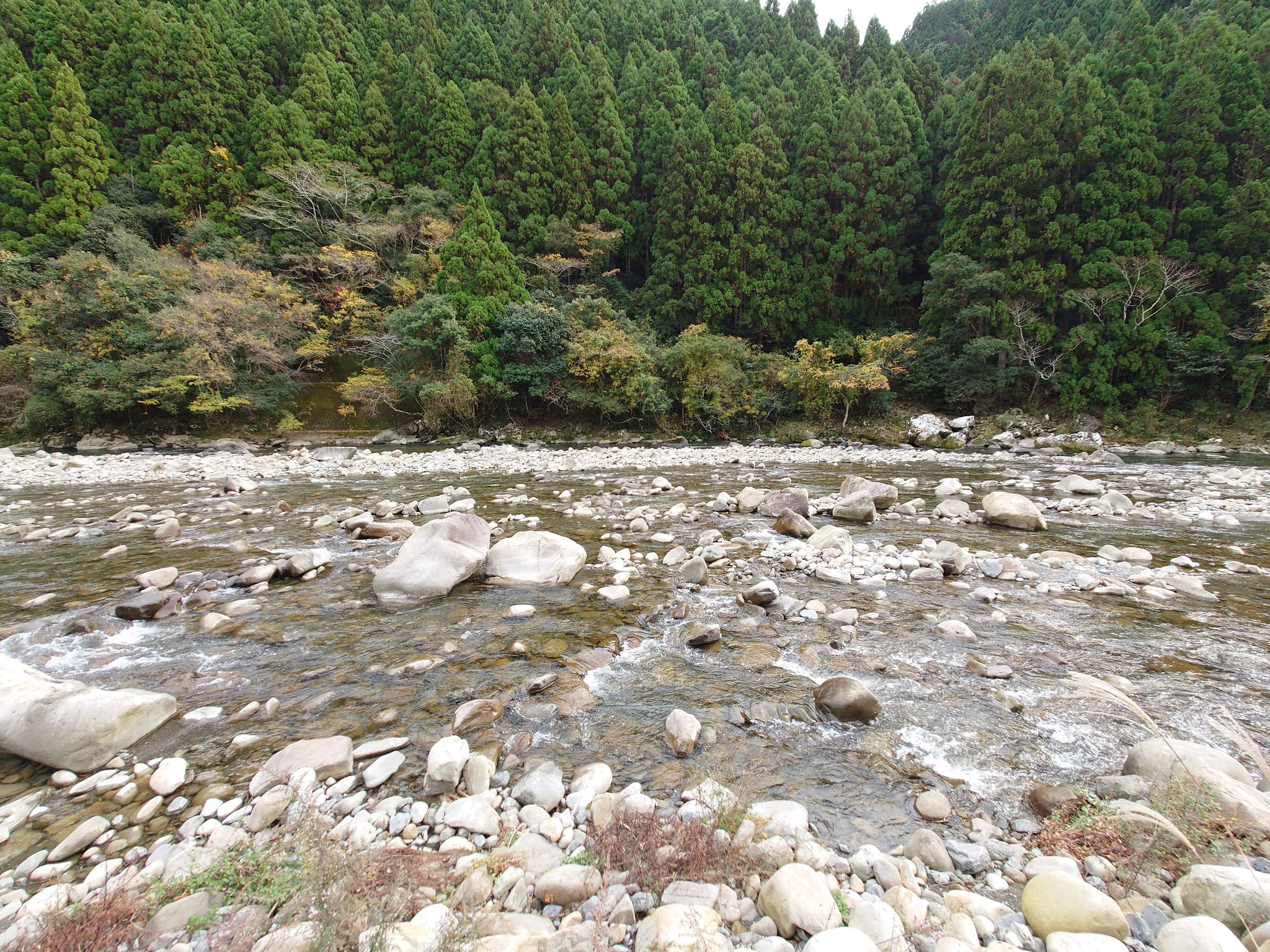 島石ピクニック広場で川遊び