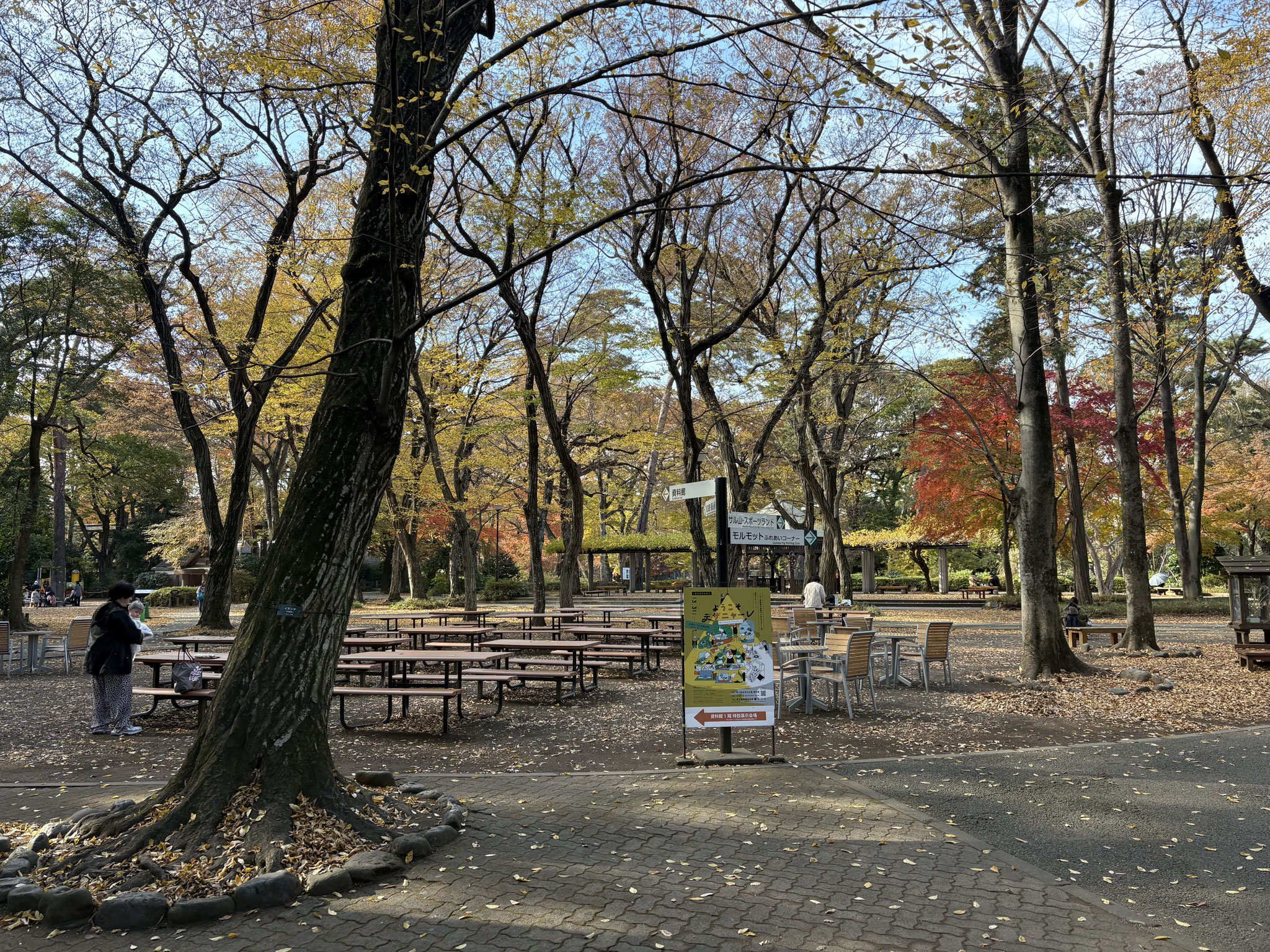 井の頭自然文化園