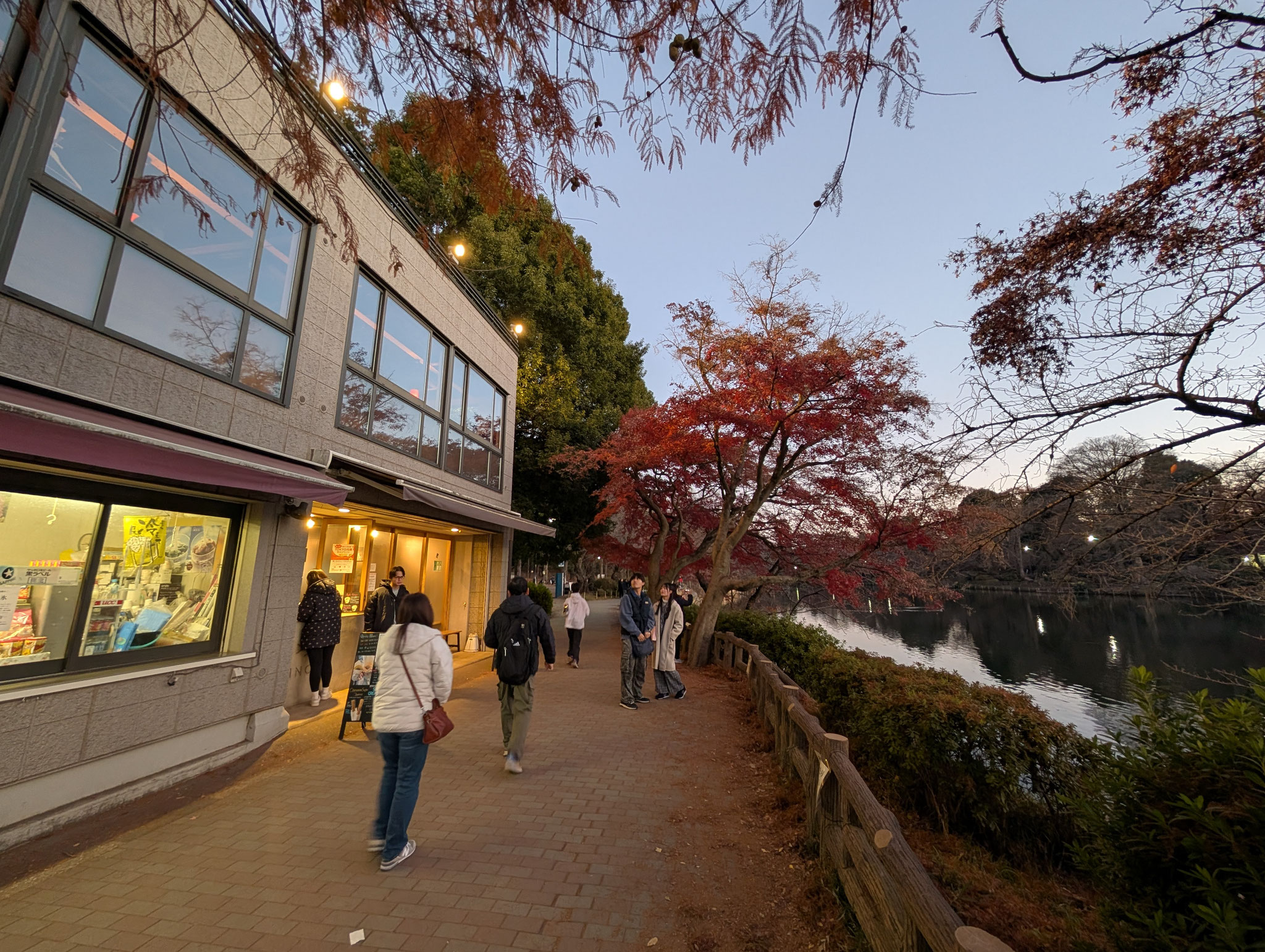 井の頭恩賜公園