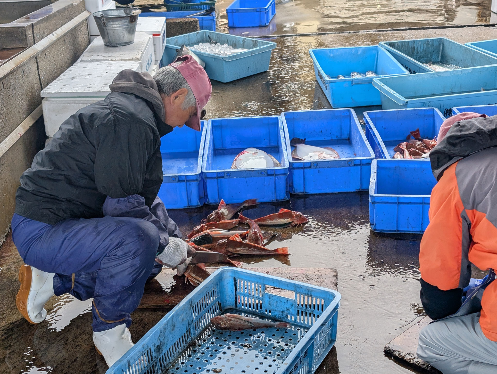 渥美魚市場