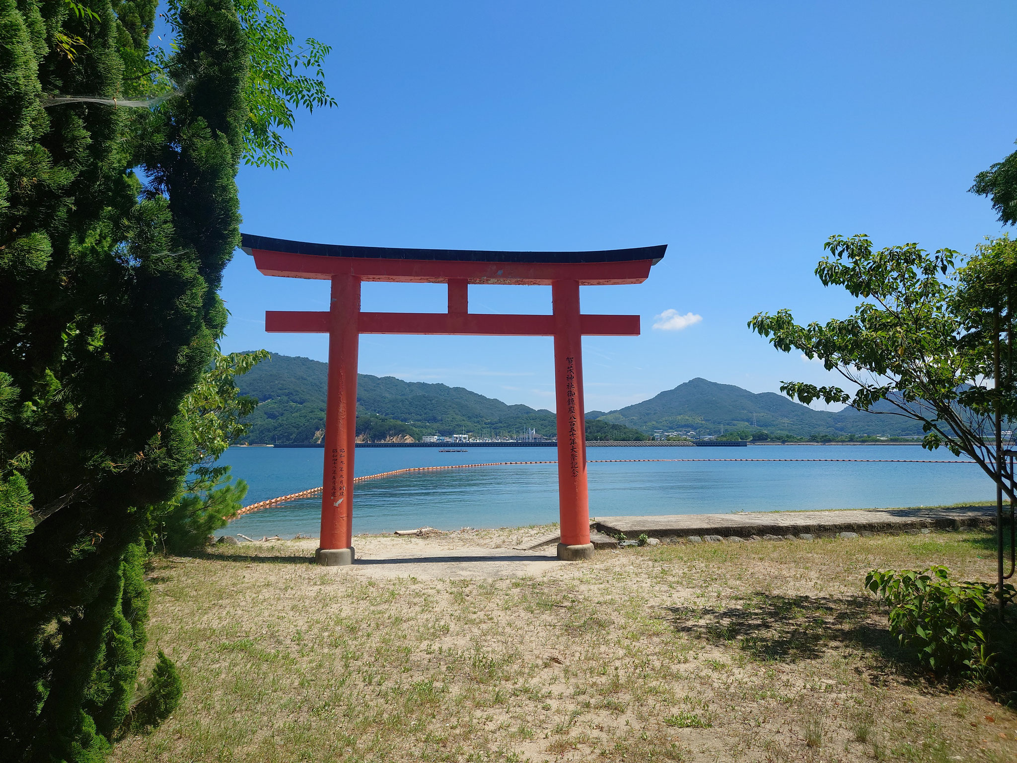 蔦島