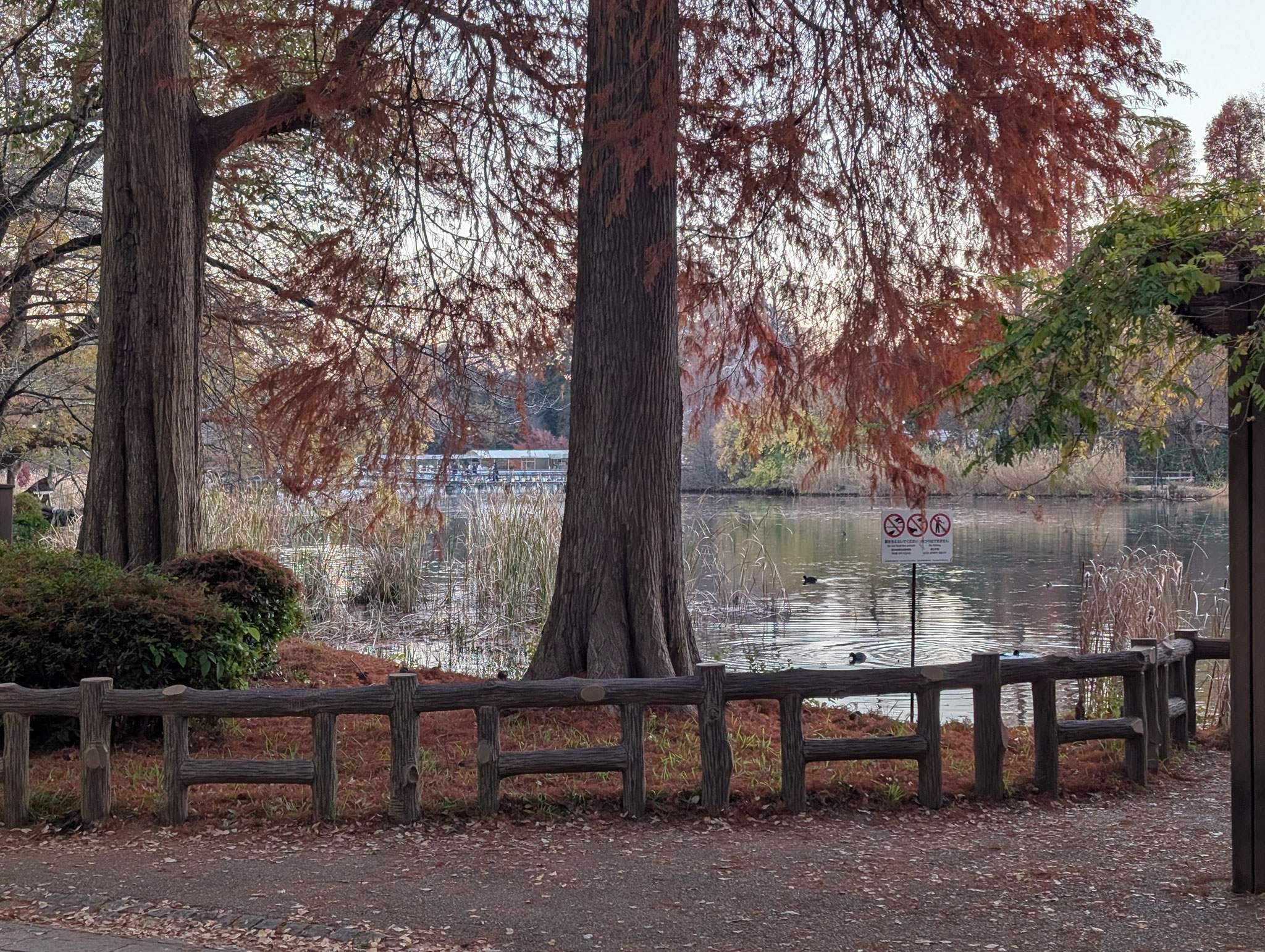 井の頭恩賜公園
