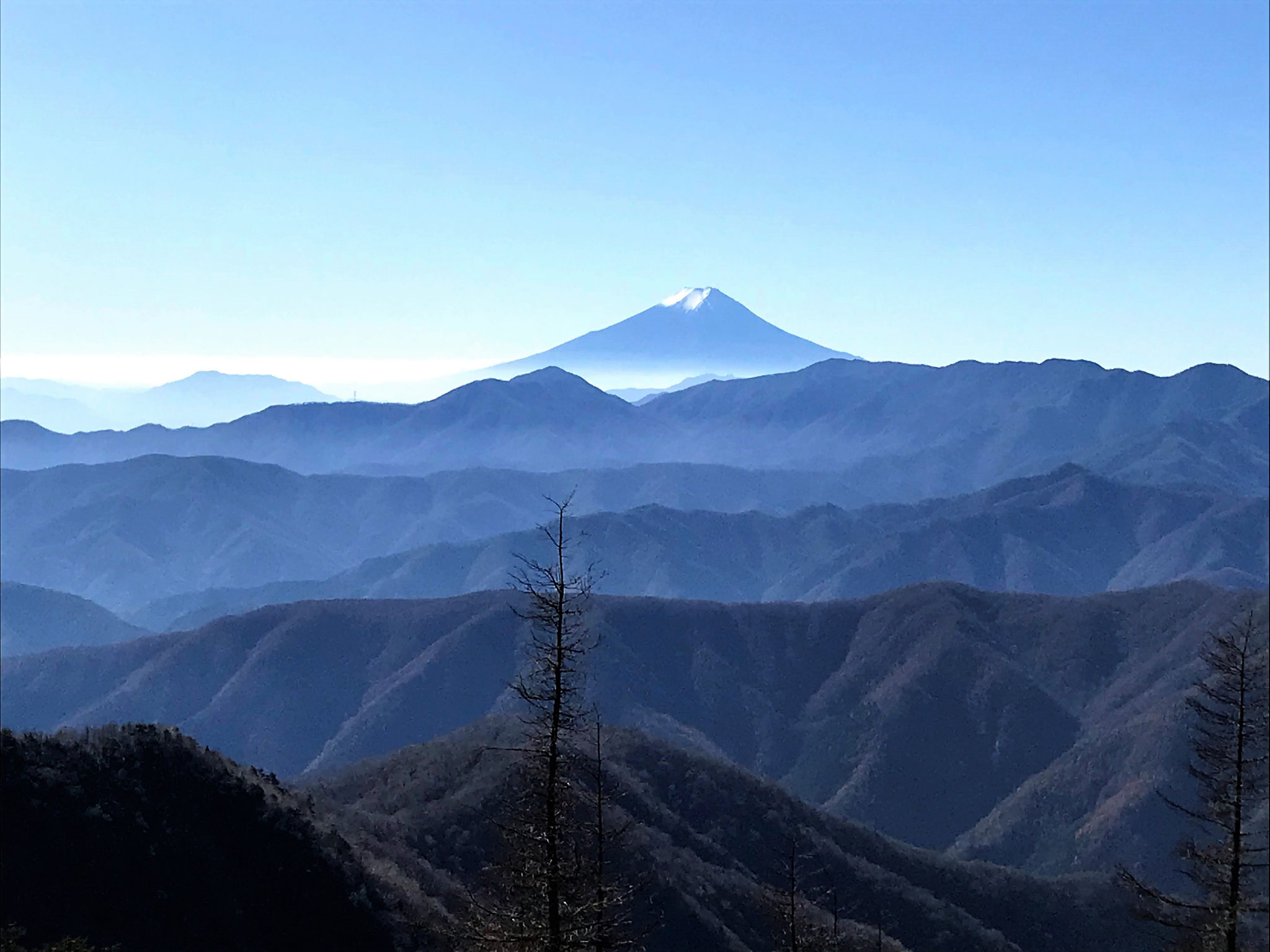 稜線に出れば富士山が美しい