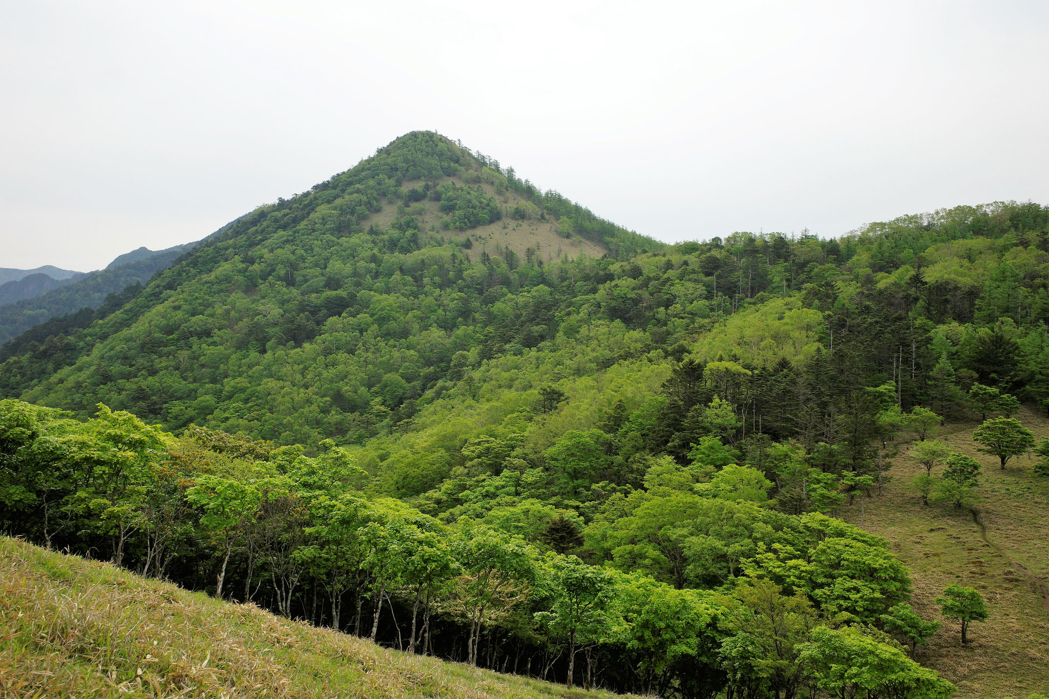 笠を被せたような形の笠取山